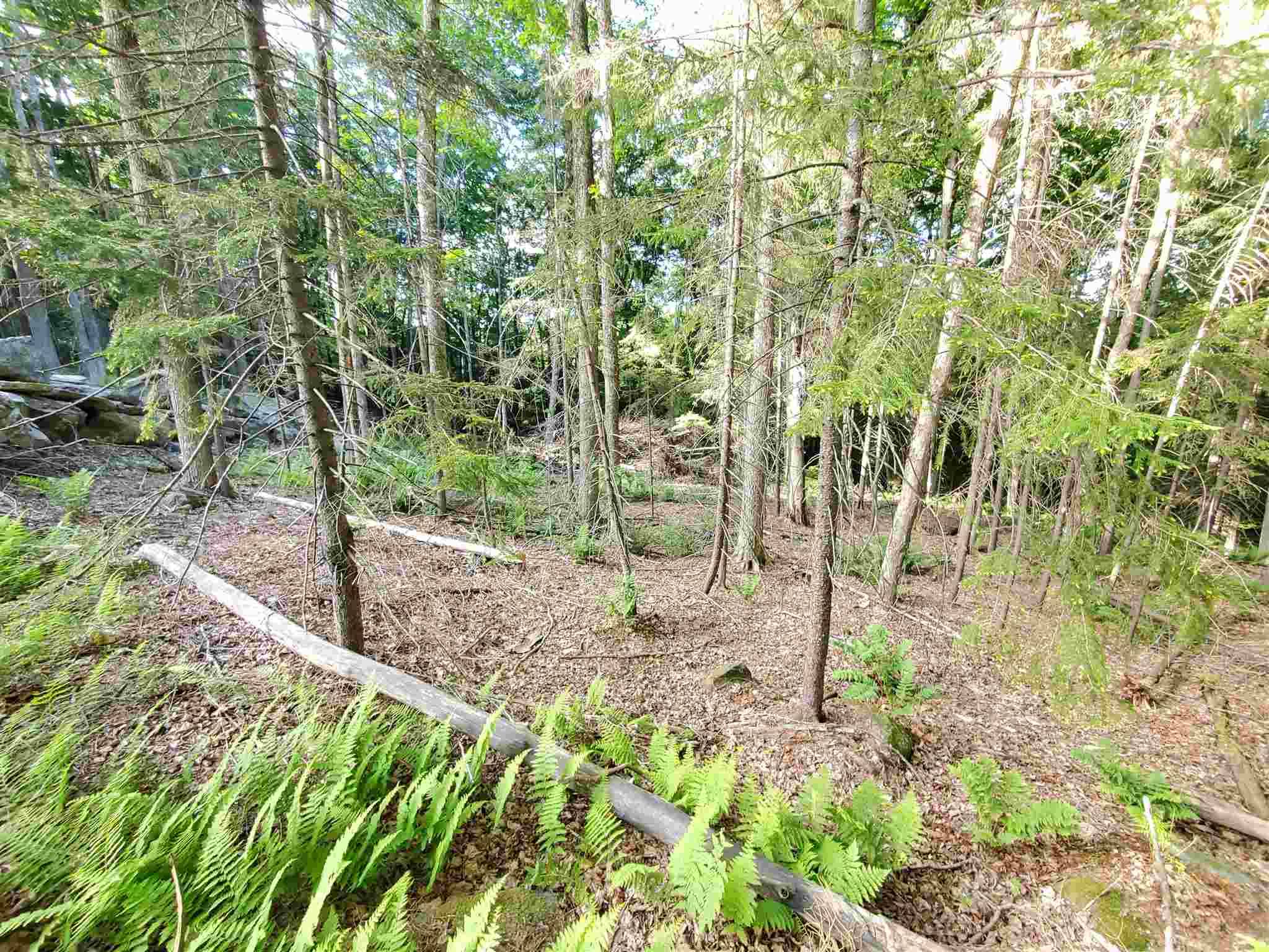Whitingham, VT 05361,4 Murdock LN