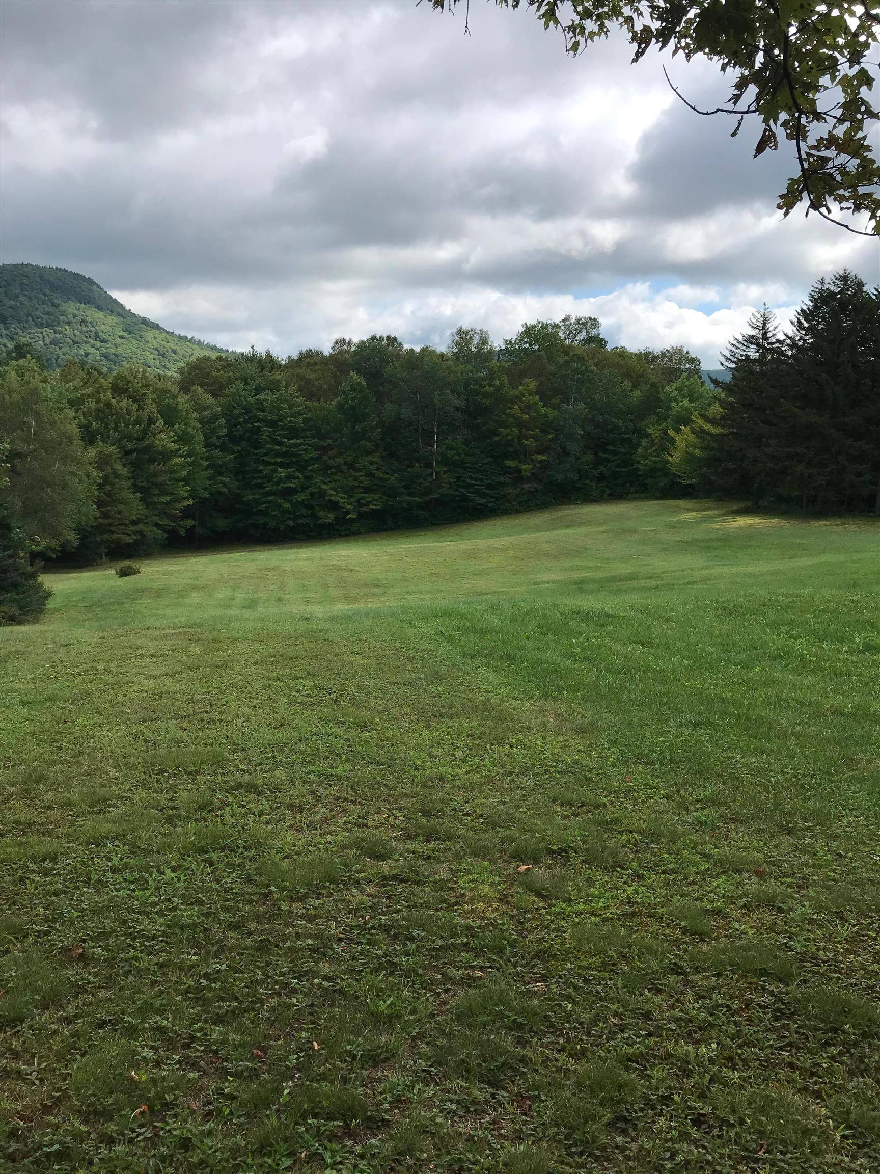 Brandon, VT 05733,Lot 7 Steinberg RD