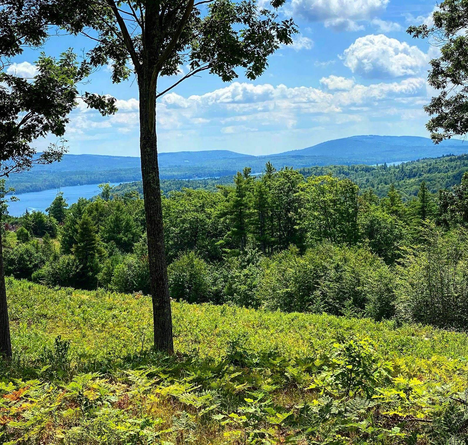 Sunapee, NH 03751,00 Granite Ridge RD #12