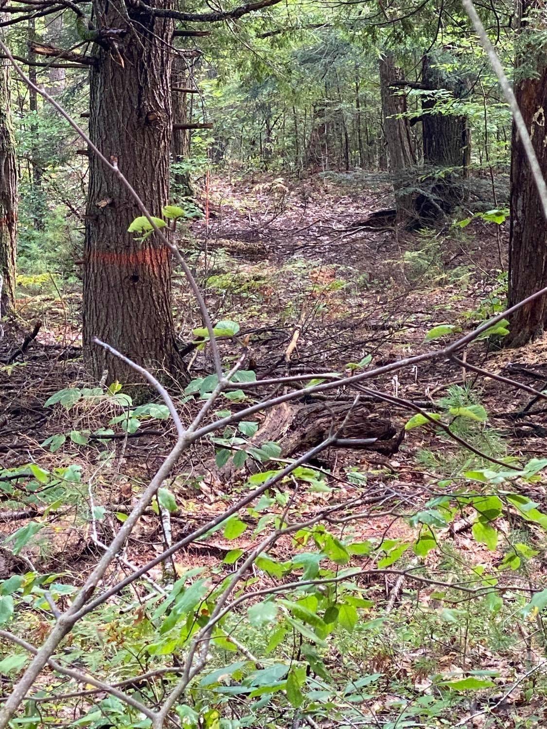 Ashburnham, MA 01430,0 Rindge Turnpike RD
