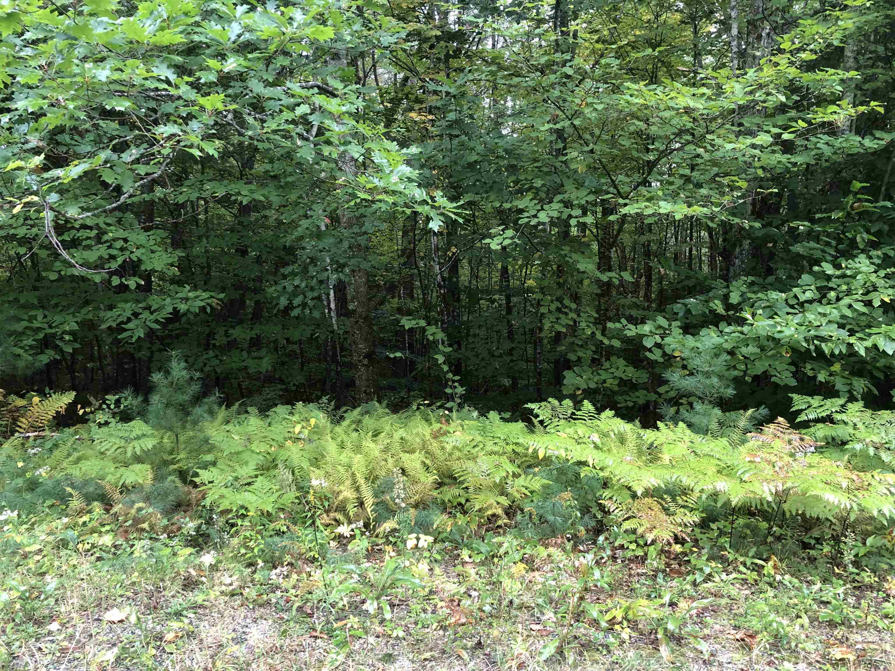 Newbury, NH 03255,00 Richards RD #Lot 3