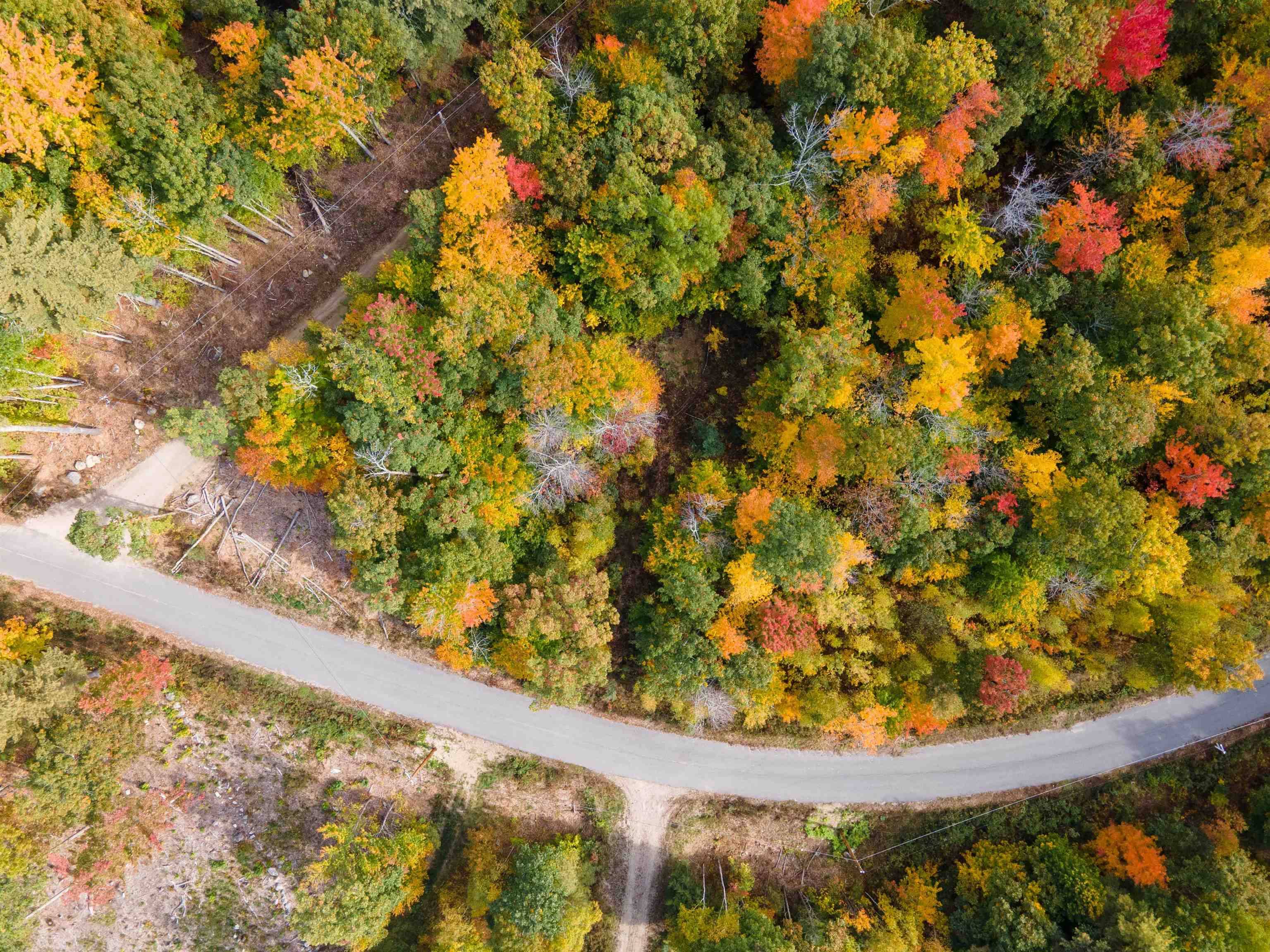 Moultonborough, NH 03254,7 Lady Slipper LN