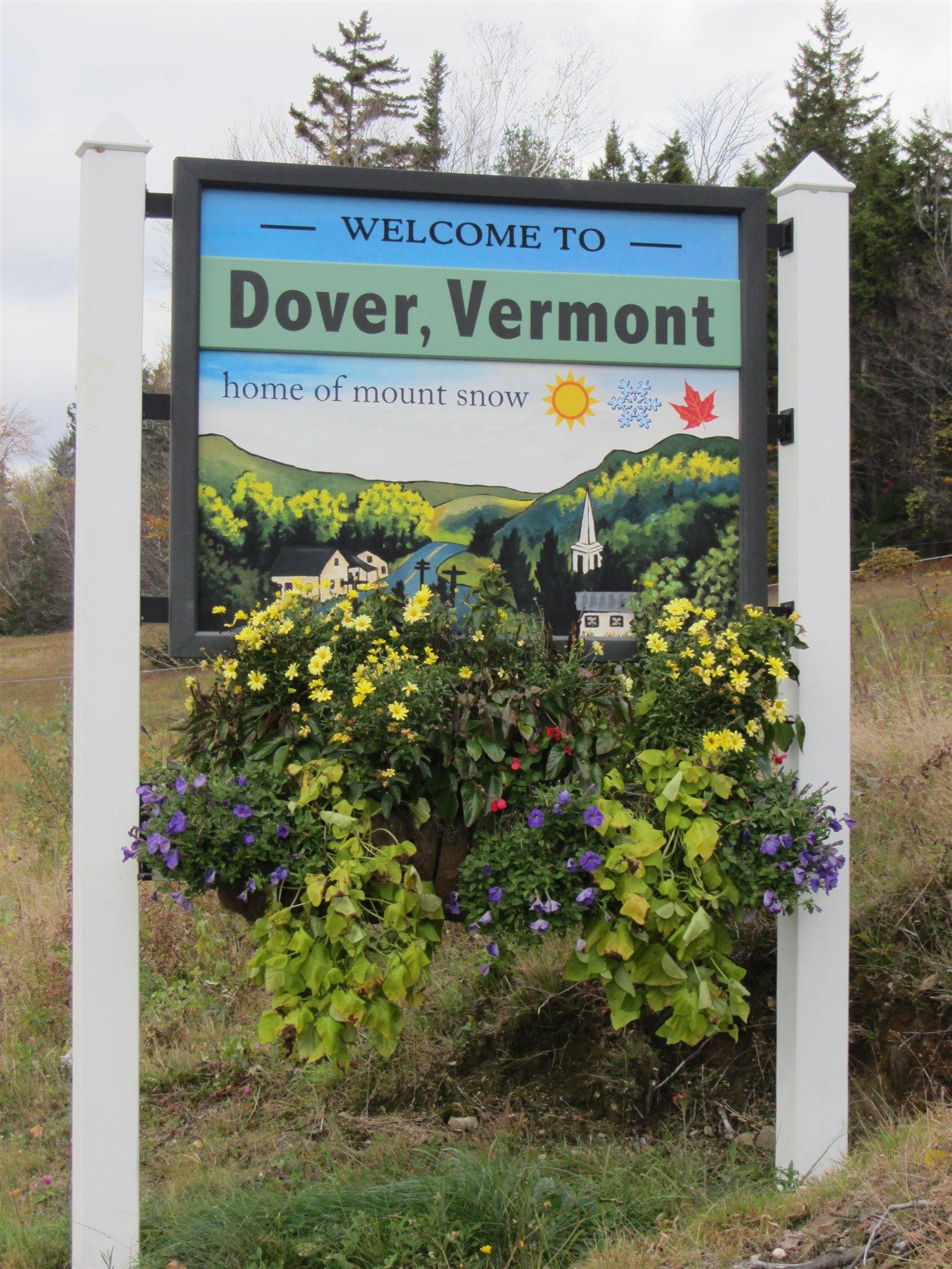 Dover, VT 05356,13 Edelweiss LN