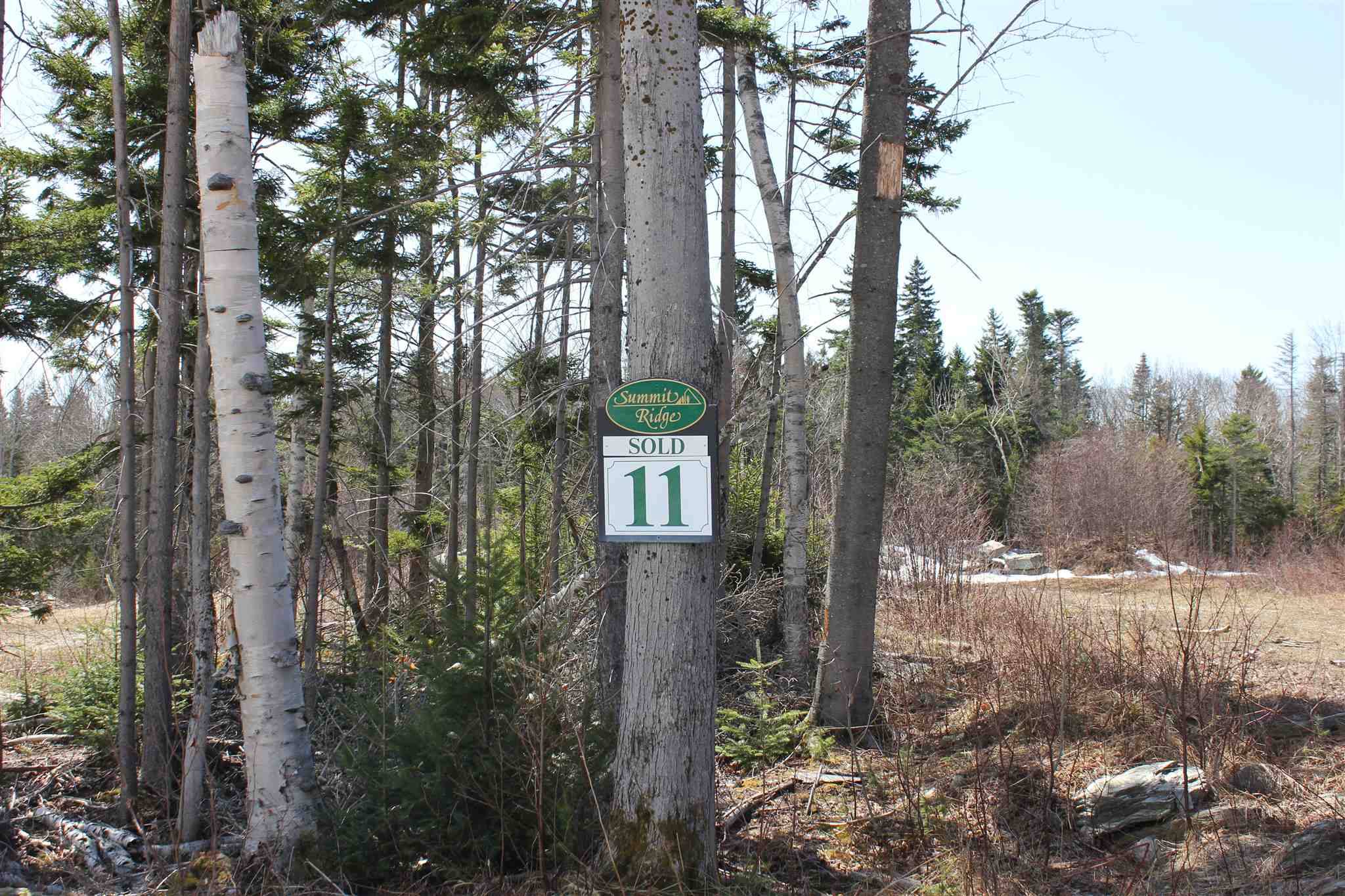 Andover, VT 05143,2765 Valley View DR