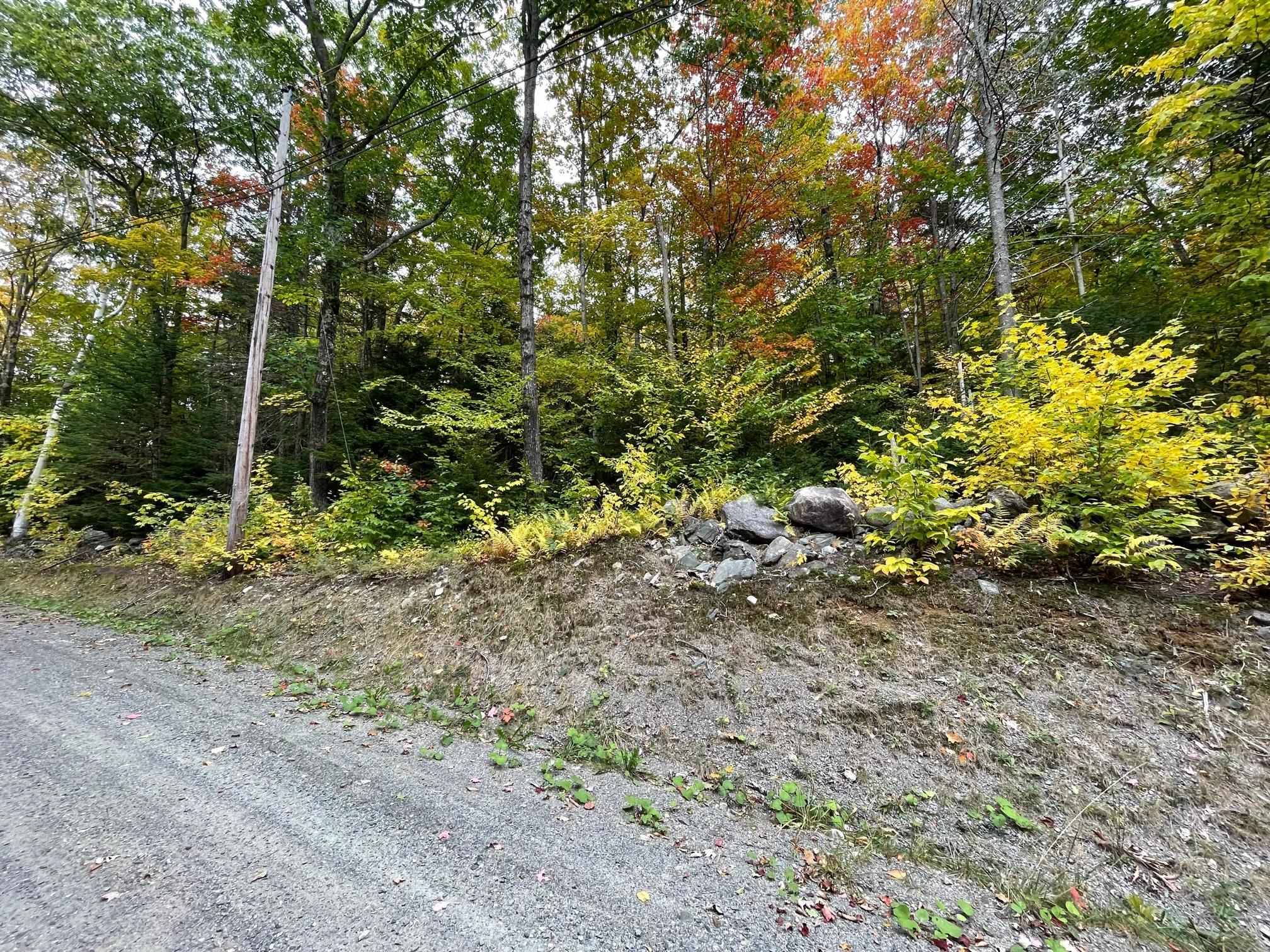 Dover, VT 05356,124 Villager LOOP #124