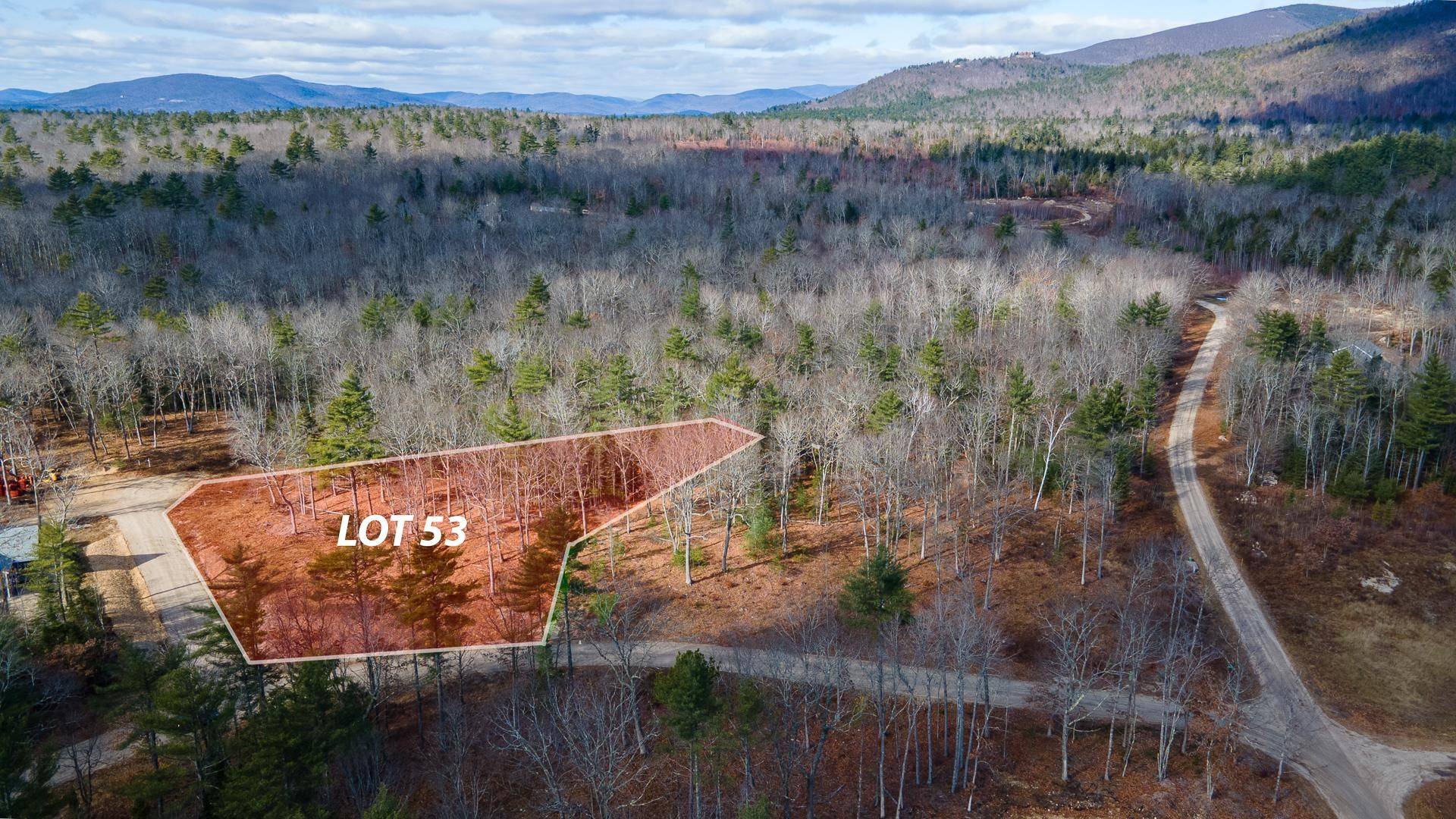 Tuftonboro, NH 03816,Lot 53 Remington CT #Lot 53