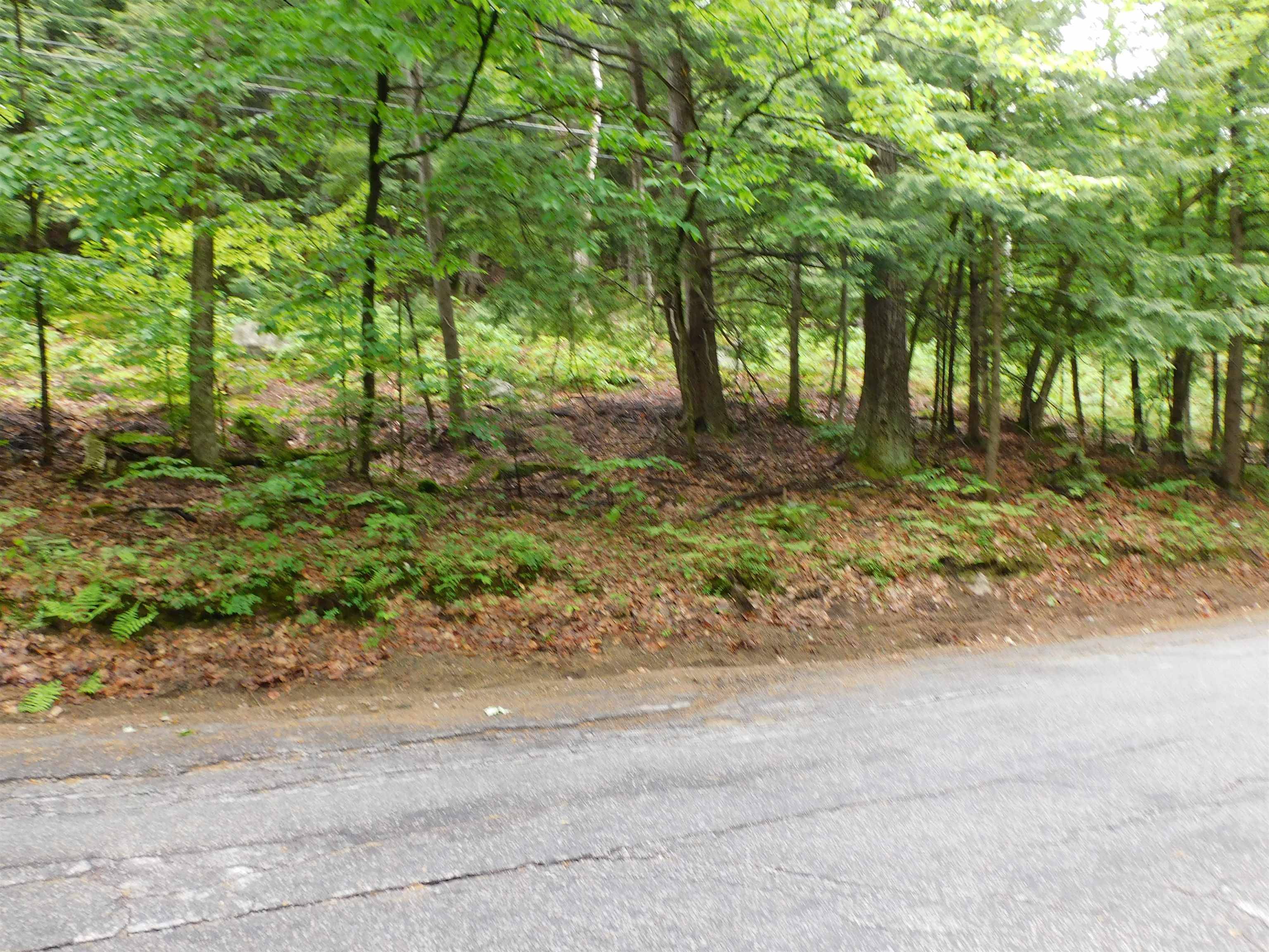 Plymouth, NH 03264,221 Texas Hill RD #Lot 221-60-001