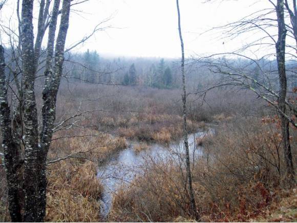 Sutton, NH 03273,0 Roby RD
