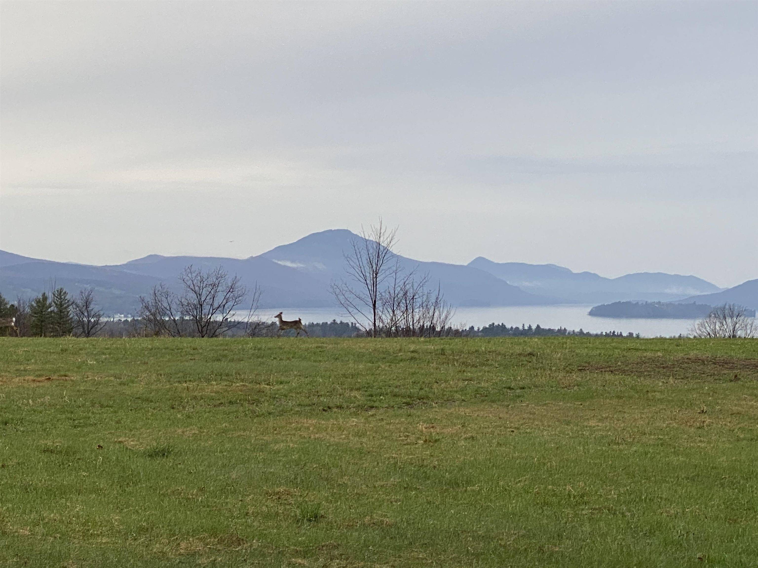 Derby, VT 05829,- Pine Hill RD #Lot F