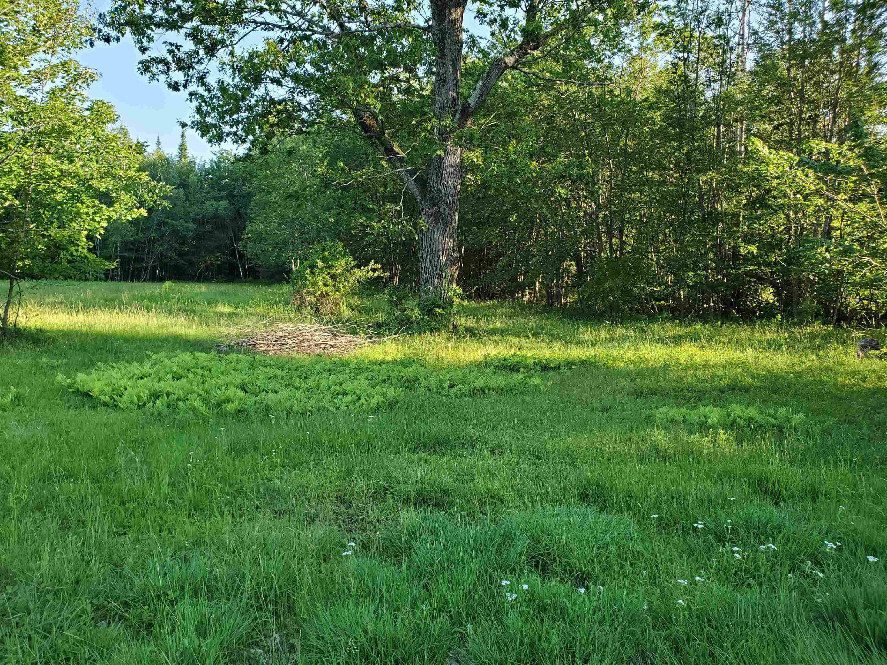 Freedom, NH 03836,Lot 19 Village RD