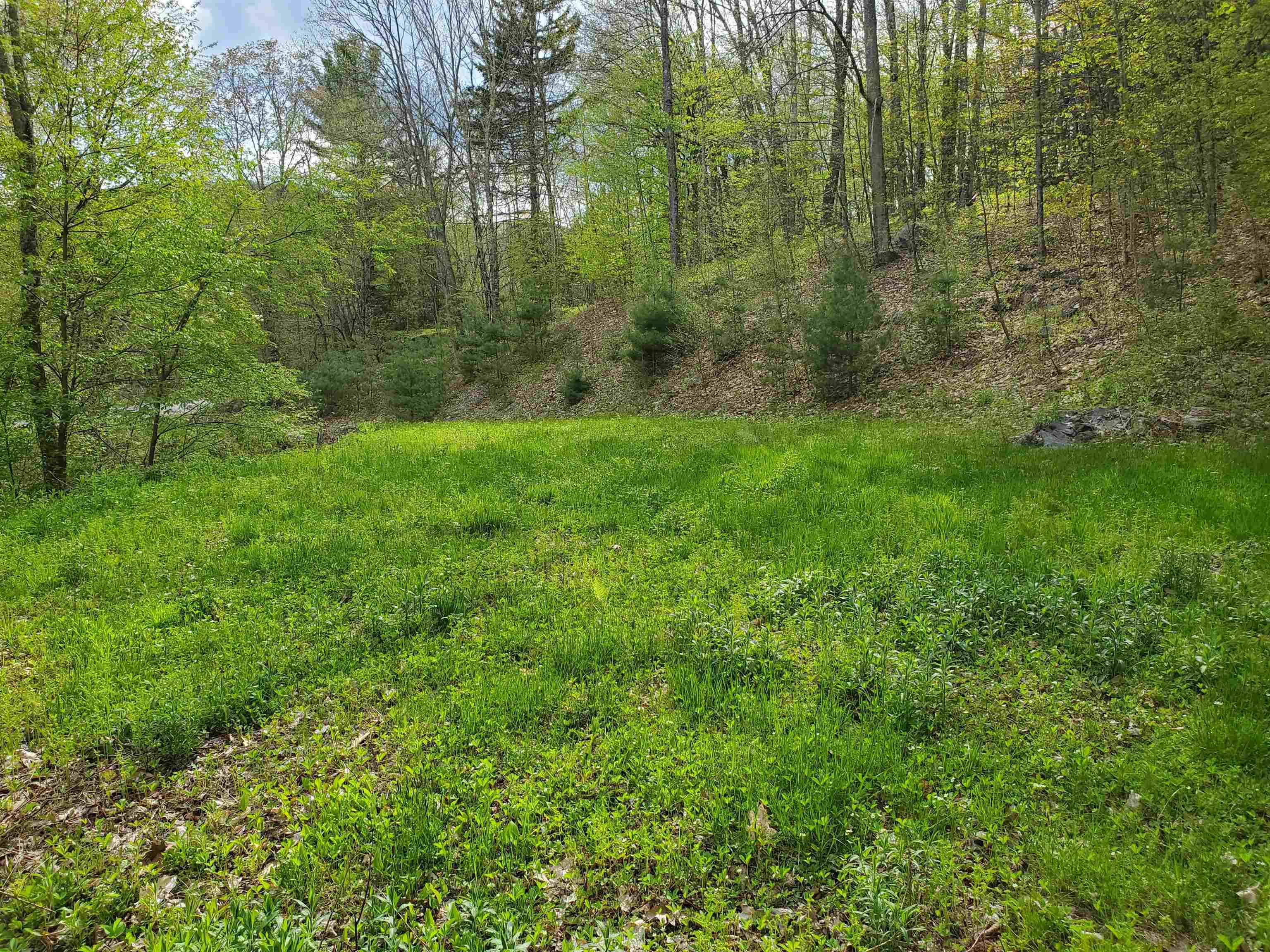 Stockbridge, VT 05772,0 Timber Hawk RD #68