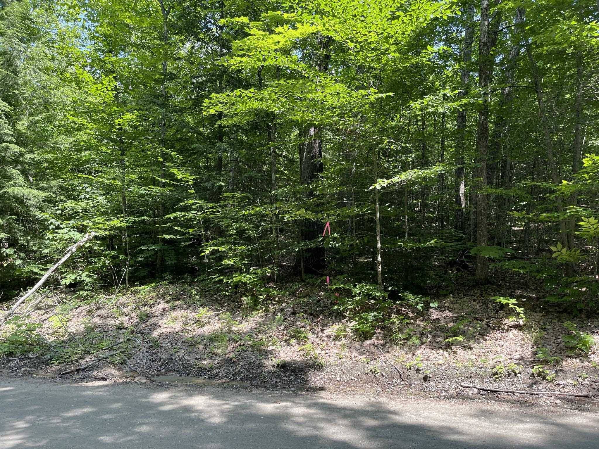 Canaan, NH 03741,17-59 Fernwood Farms RD