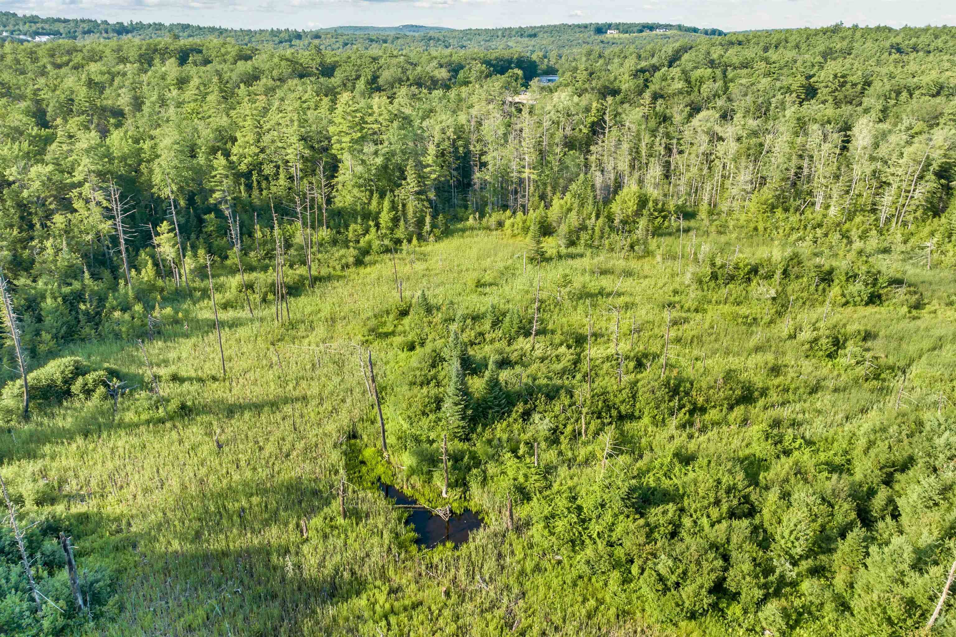 Wolfeboro, NH 03894,290 Pine Hill RD
