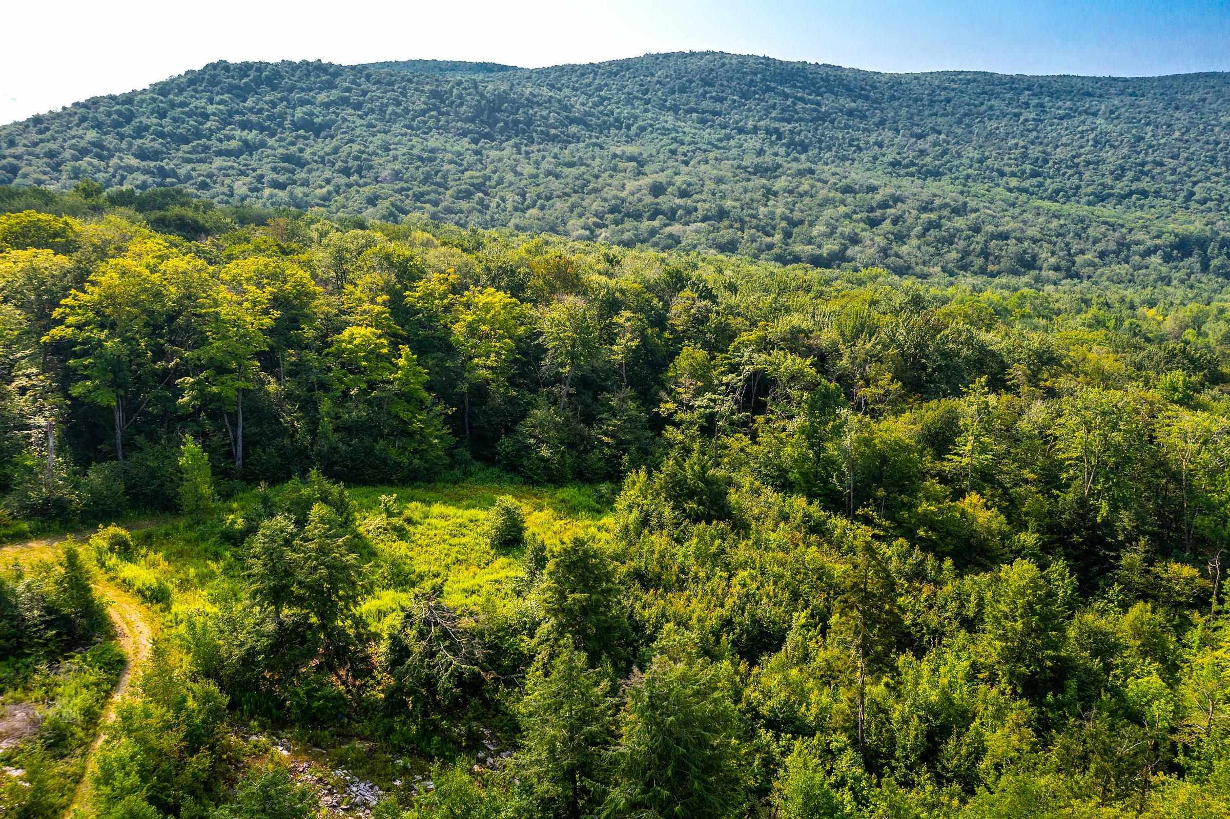 Winhall, VT 05340,Lot 3 Route 11/30