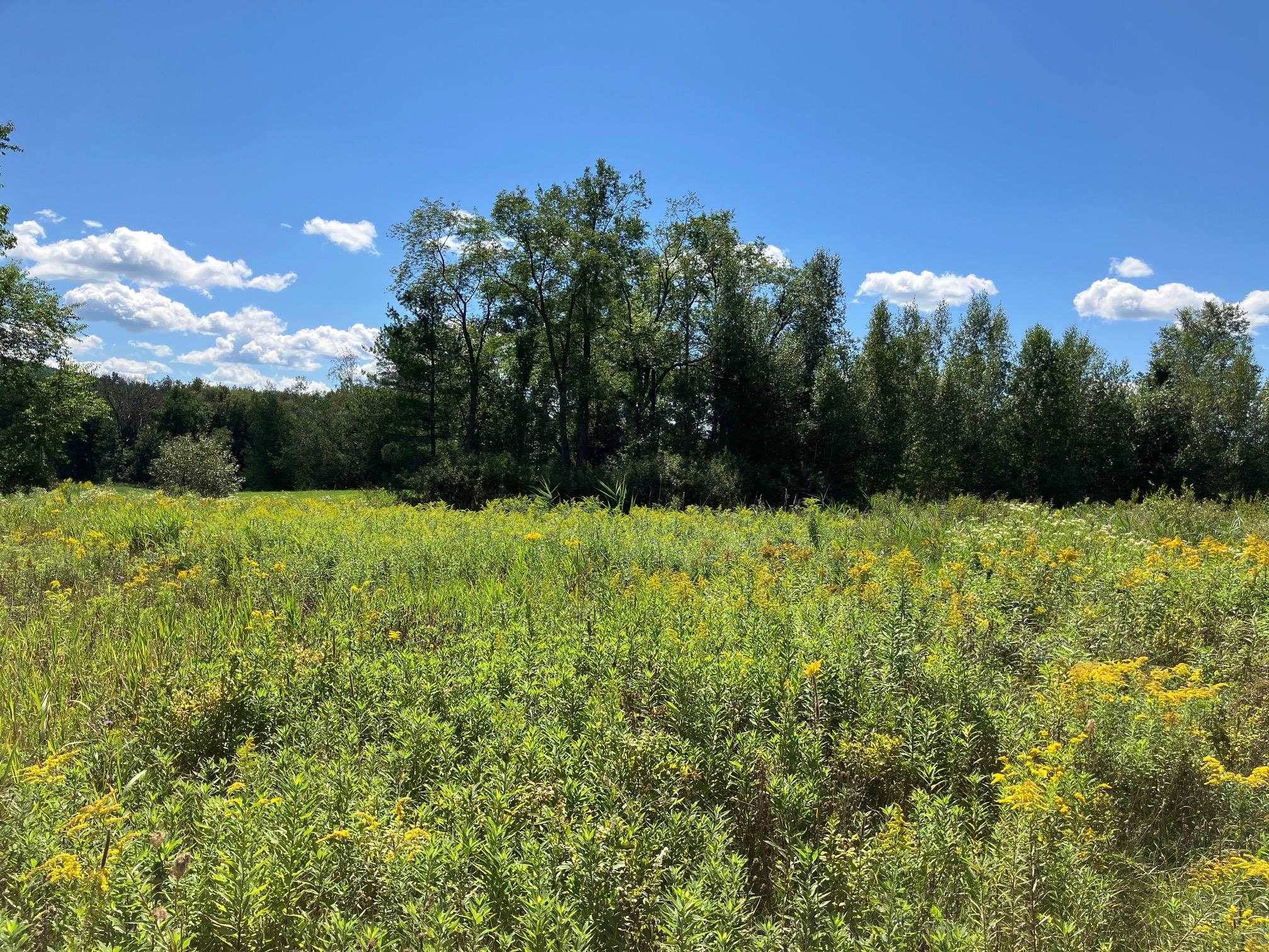 Richford, VT 05476,311, Lot 4 Main ST #Lot 4