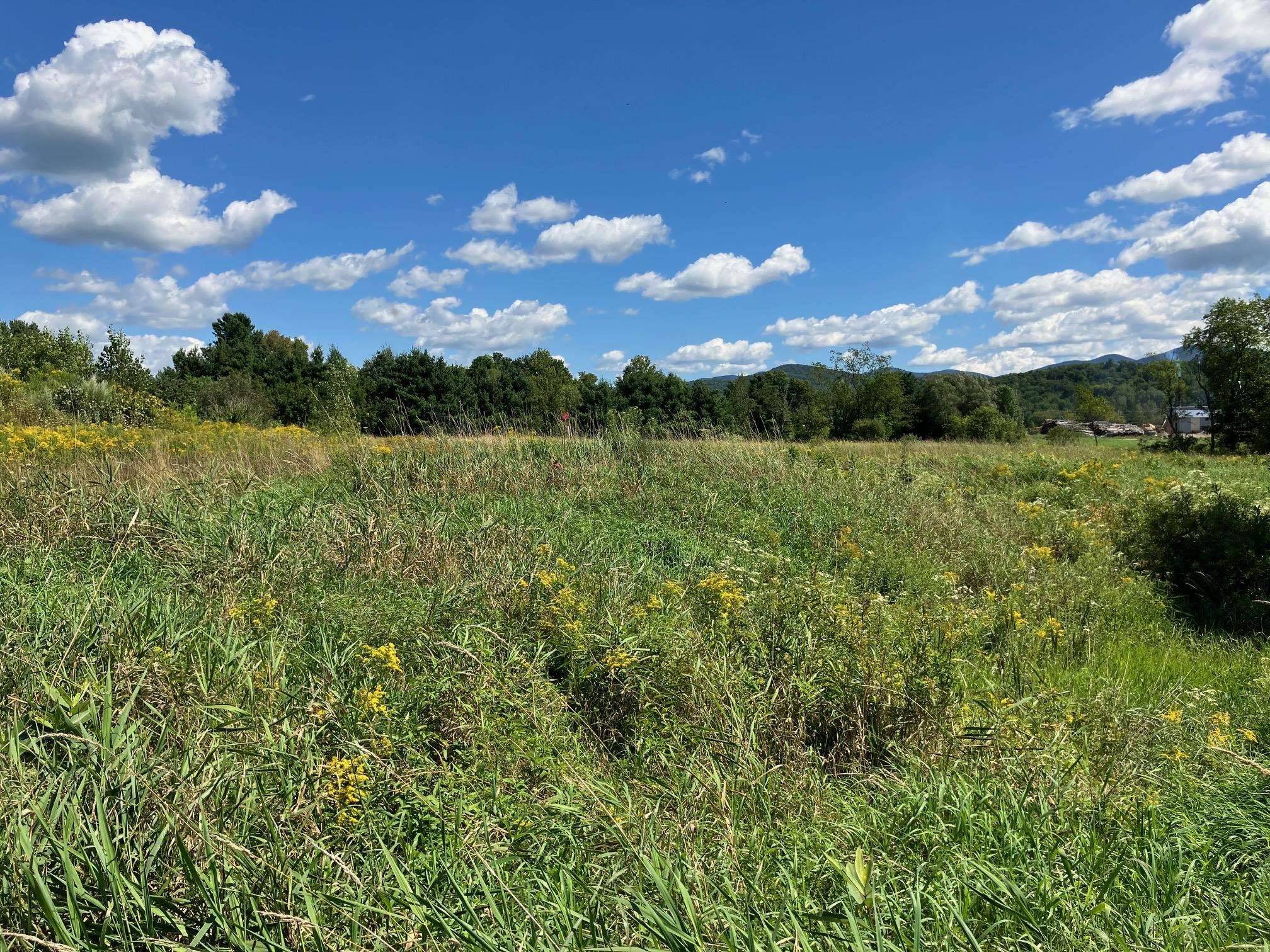 Richford, VT 05476,311, Lot 5 Main ST #Lot 5