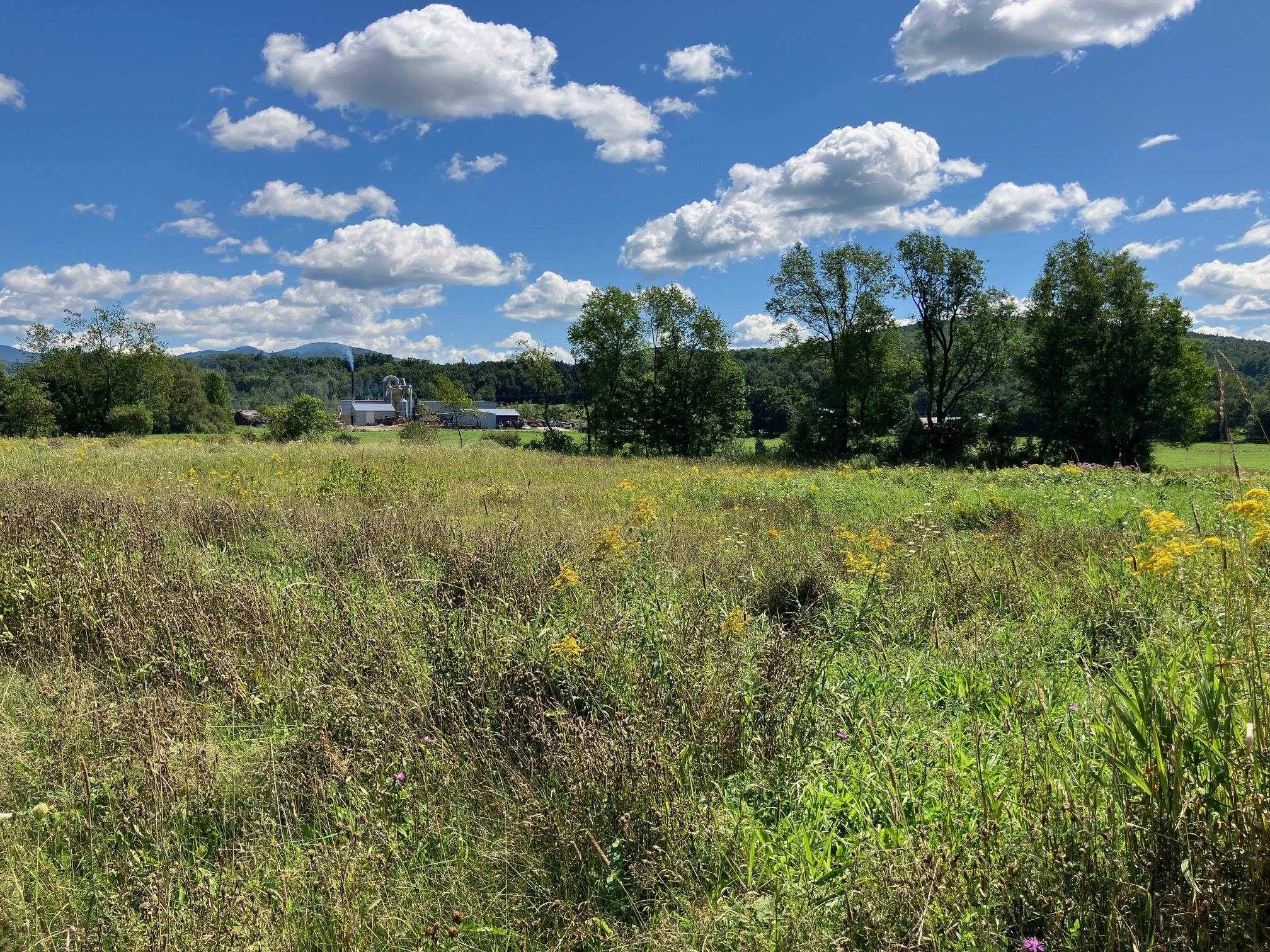 Richford, VT 05476,311, Lot 6 Main ST #Lot 6