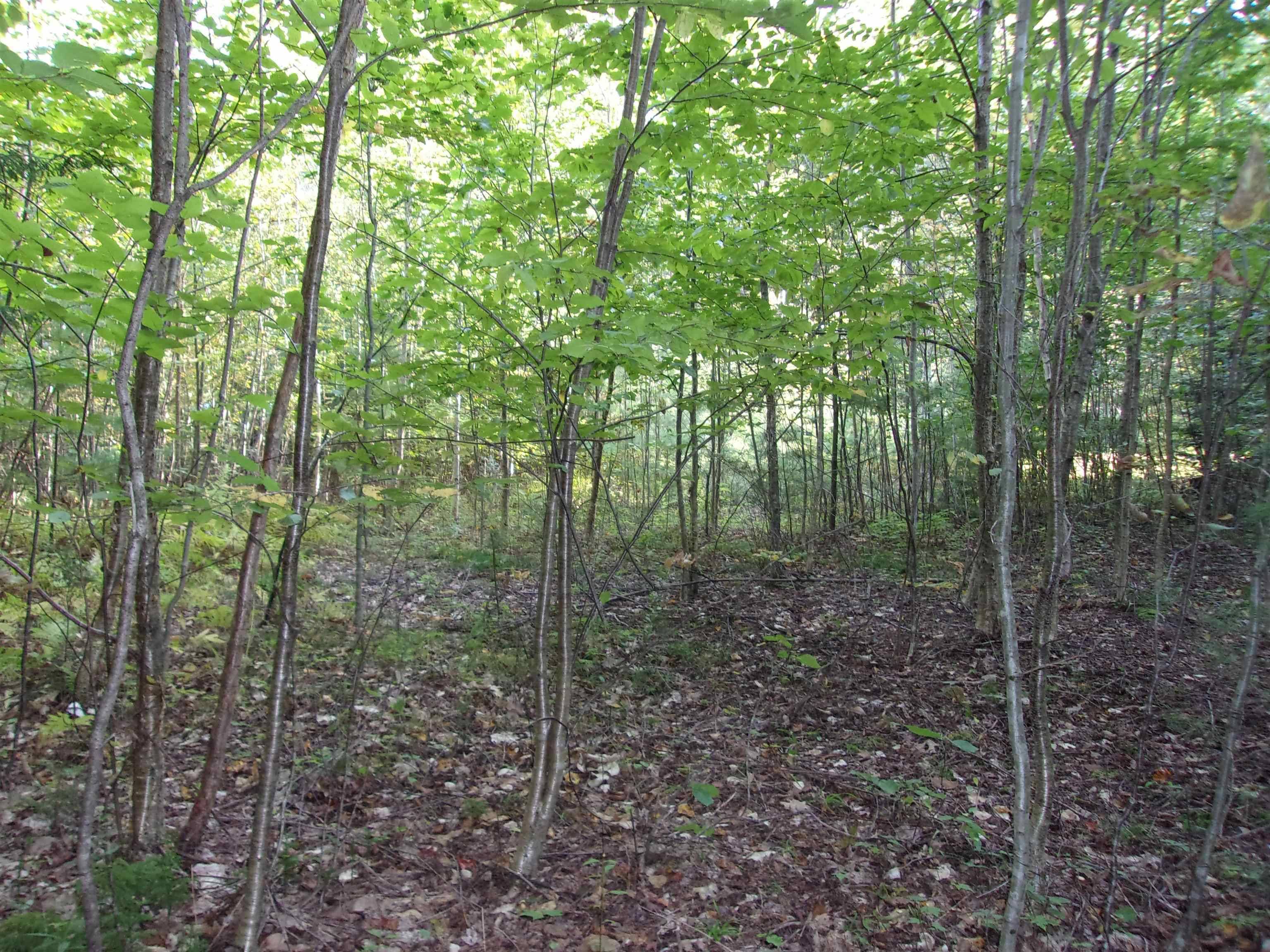 Bath, NH 03740,Fenn Way CIR #31