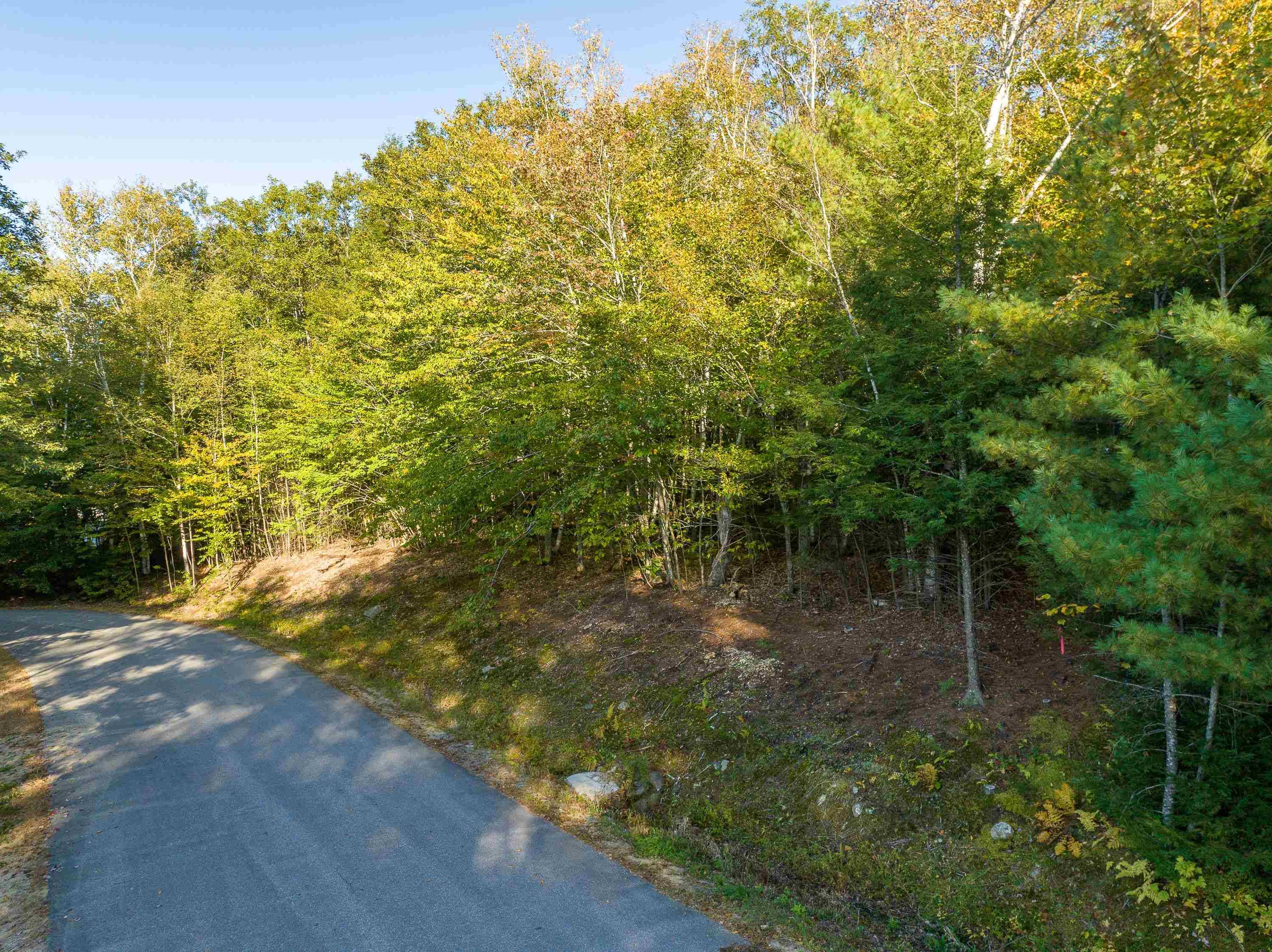 Plymouth, NH 03264,88 Ledgeside LN