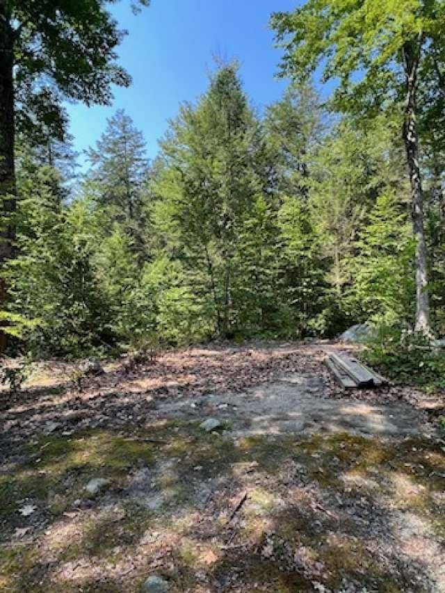 Fitzwilliam, NH 03447,Lot 36-03 Howeville RD