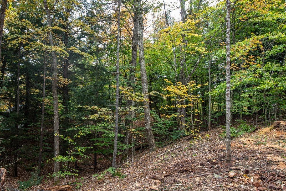 Ludlow, VT 05149,150 North Shore DR