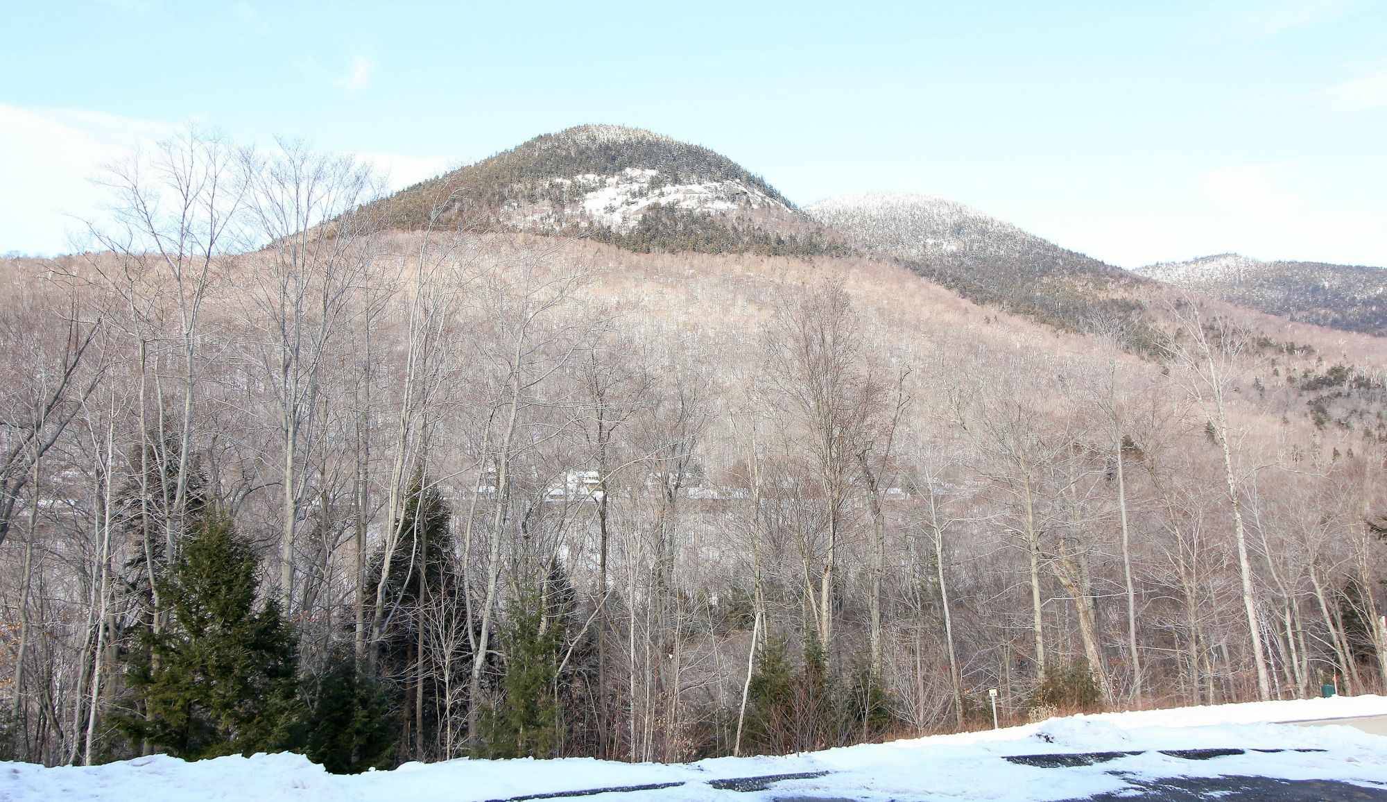 Lincoln, NH 03251,4 Buck RD