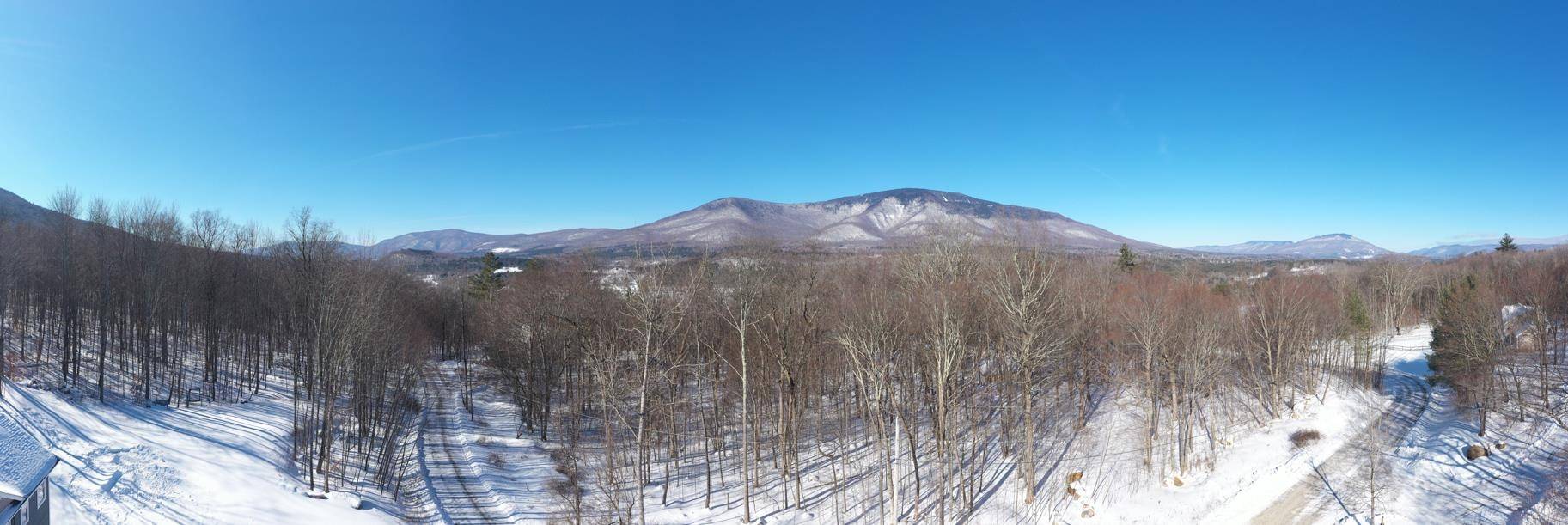 Manchester, VT 05255,420 South Hill RD