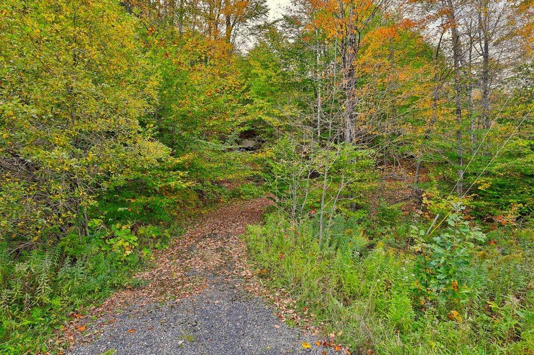 0 Route 100 Plymouth, VT 05056