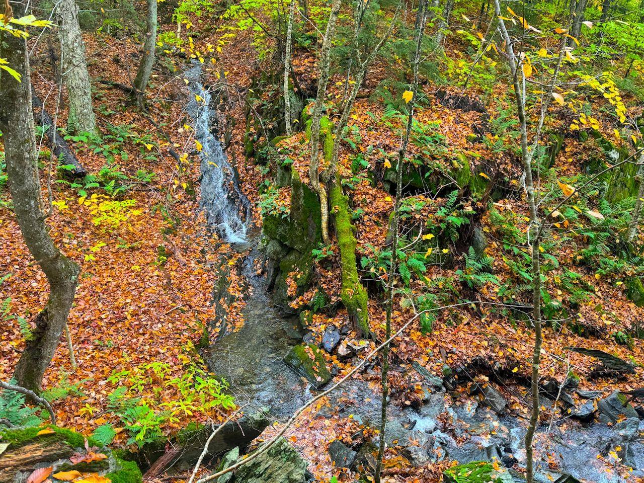 Warren, VT 05674,0 Cider Mountain RD