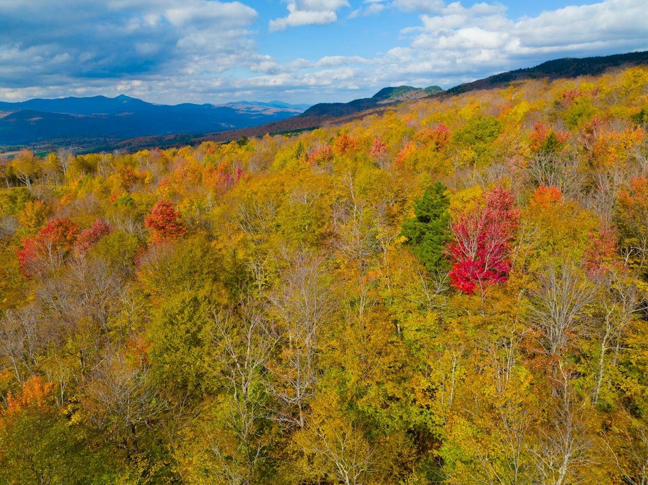 Warren, VT 05674,0 Cider Mountain RD