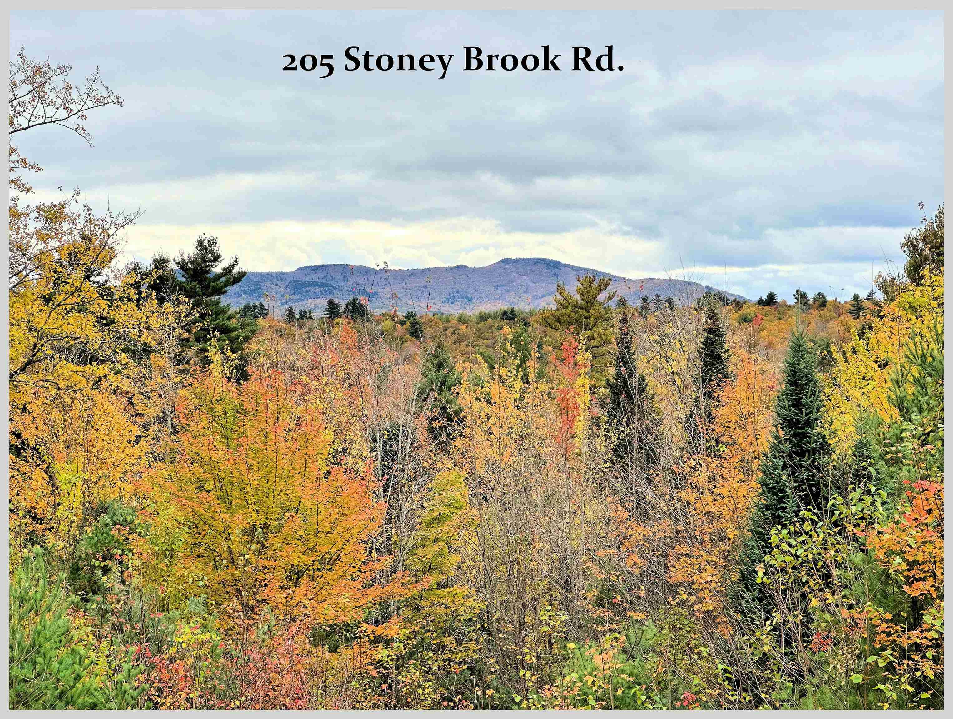 Newbury, NH 03255,205 Stoney Brook RD