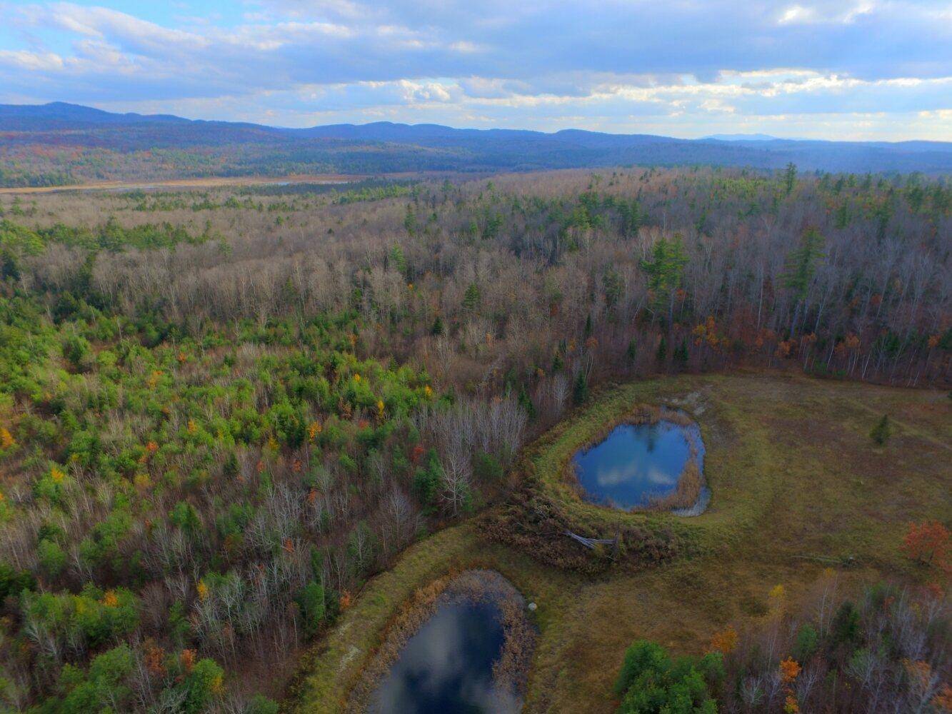 Springfield, NH 03284,50-187-00 Pettengill RD