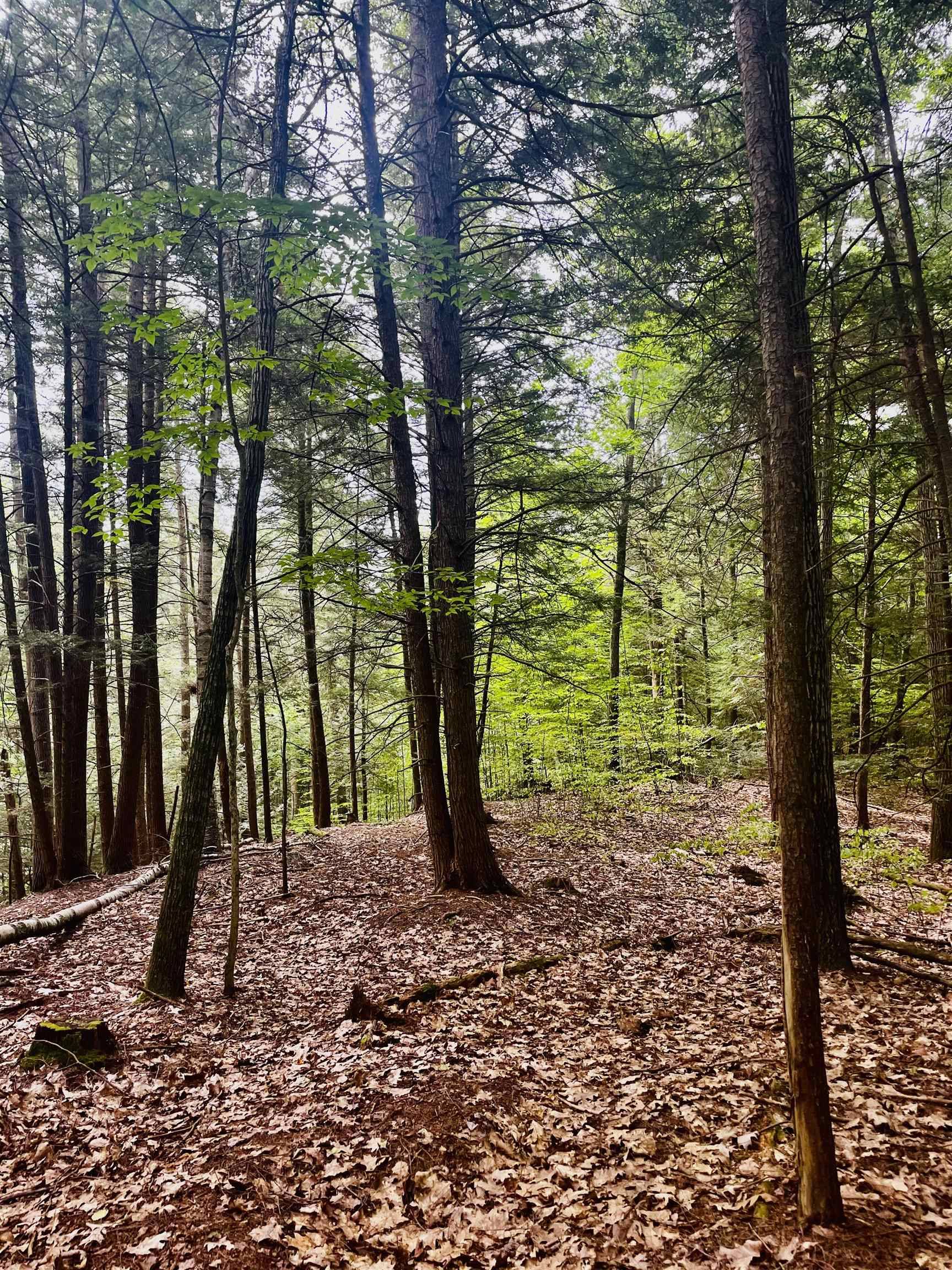 Keene, NH 03431,0 Summit RD