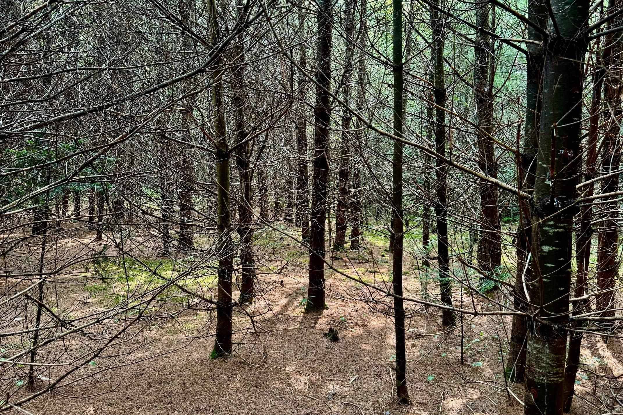 62 Whittier HWY Sandwich, NH 03227