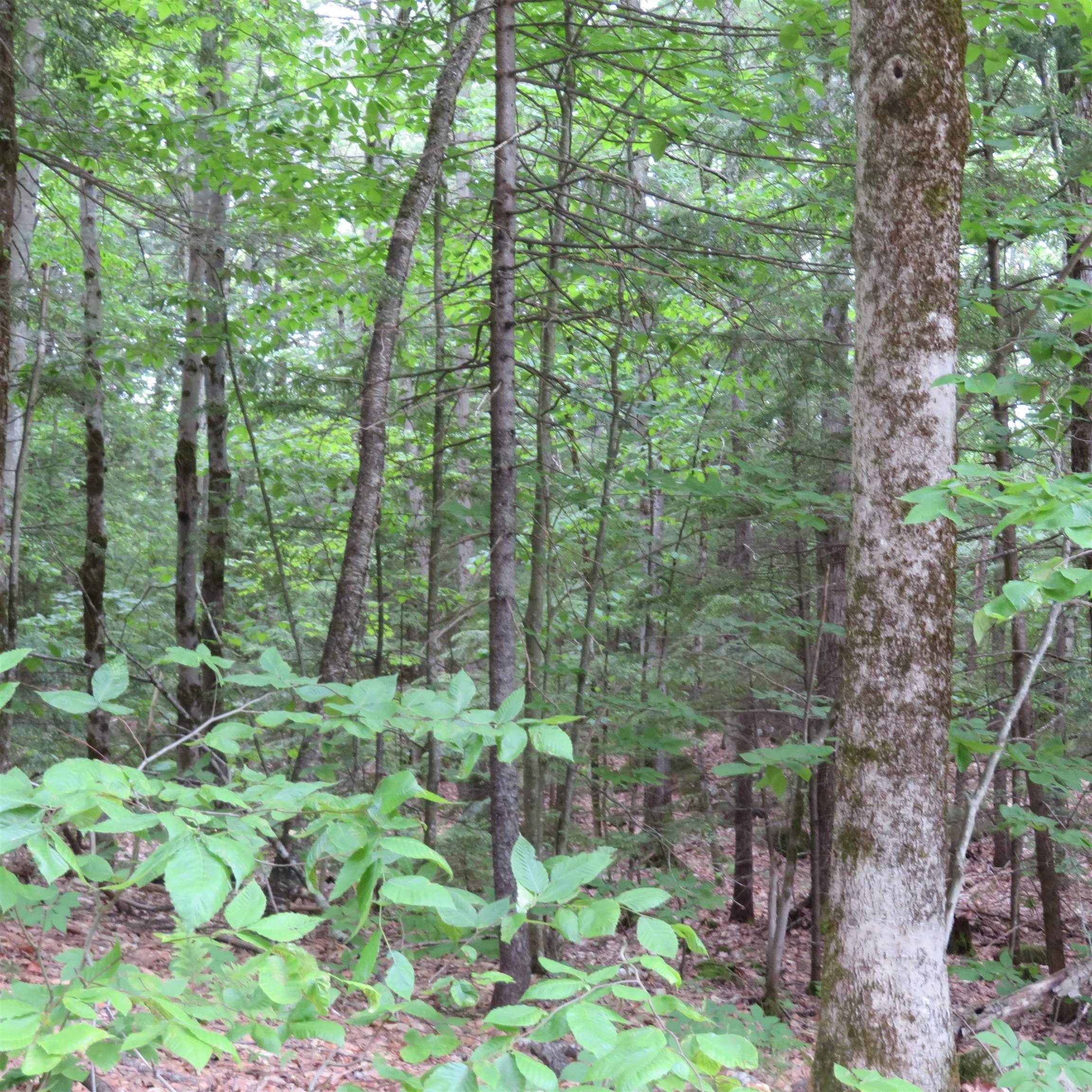 Sandwich, NH 03227,Lot 67 Sandwich Slopes RD #R1; Lot 67