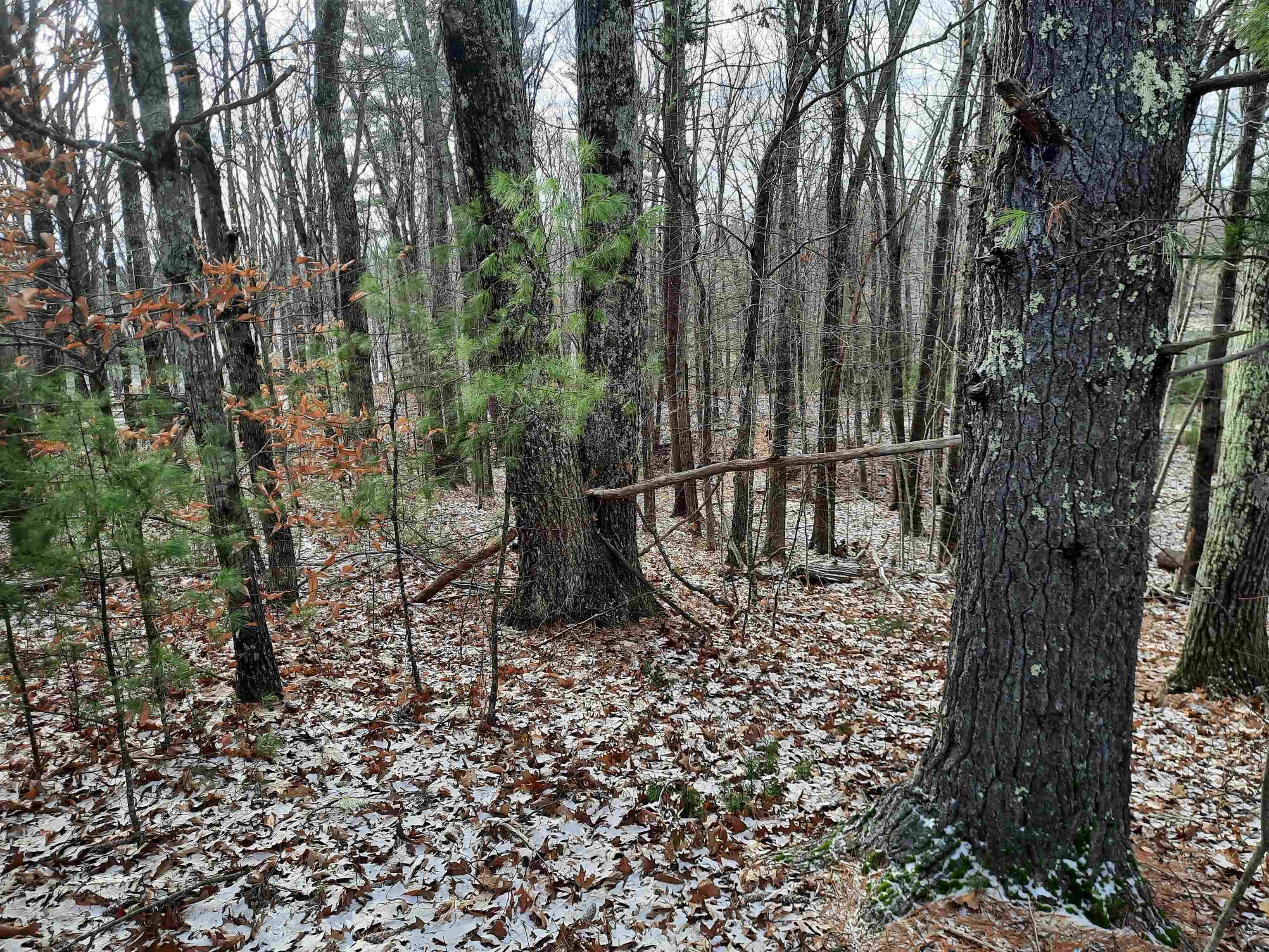 Barrington, NH 03825,551 Beauty Hill RD #Lot B