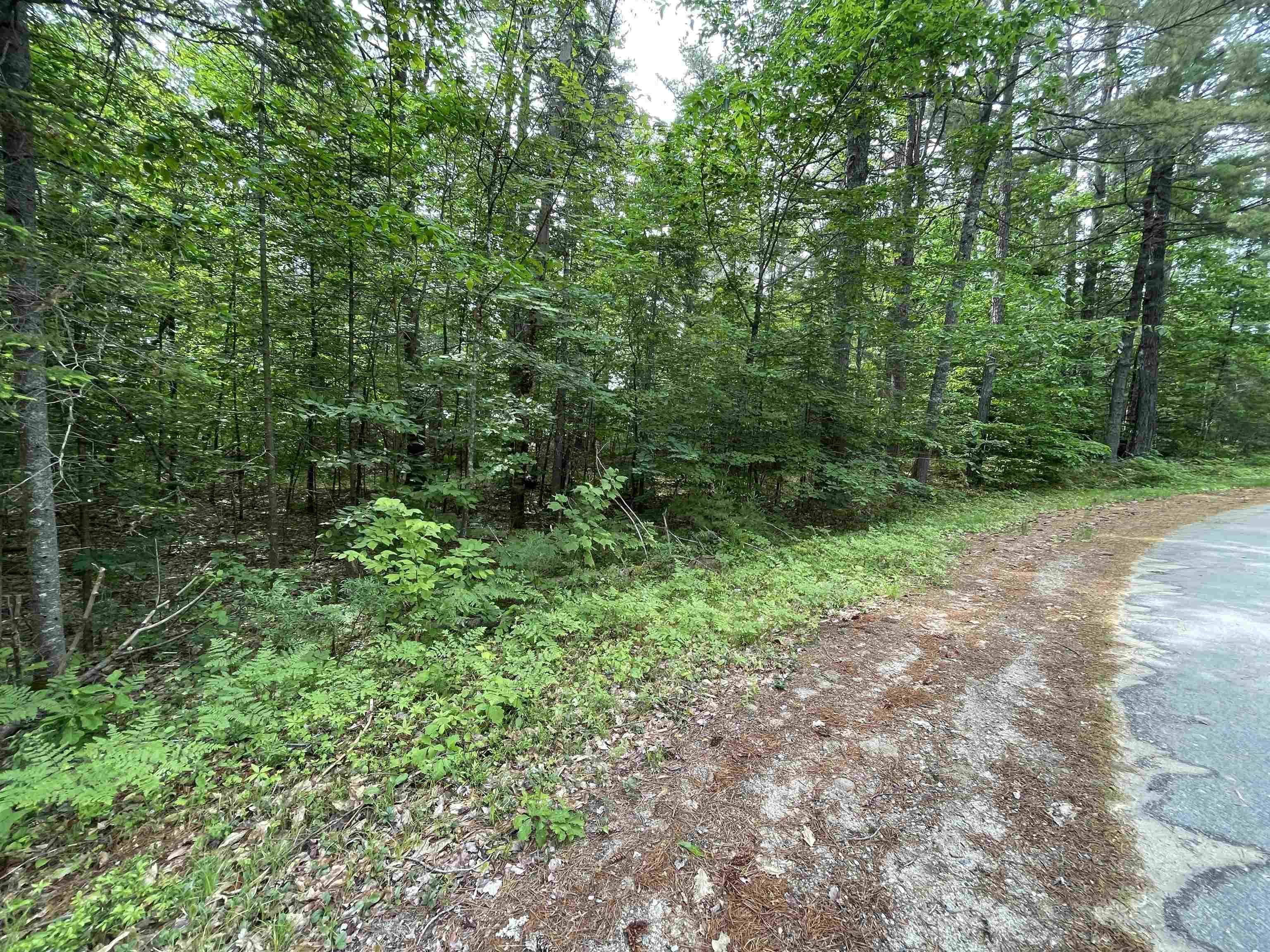 Freedom, NH 03836,Lot 18 Liberty LN #18