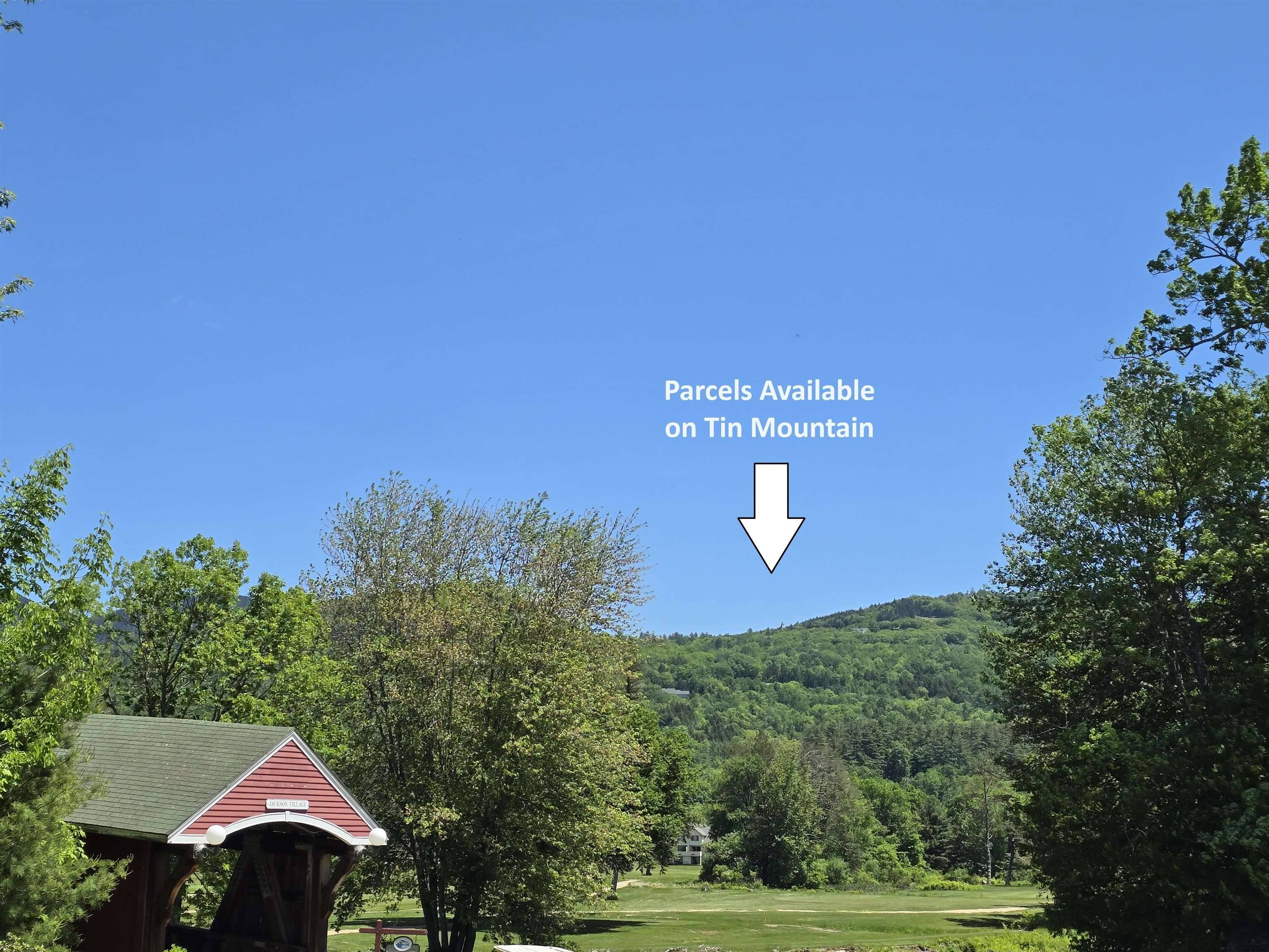 Jackson, NH 03846,00 Switchback WAY #V08-25-05