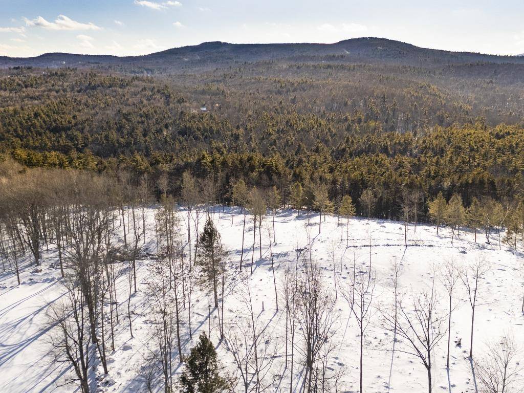 Francestown, NH 03043,Woodward Hill RD #LOT F