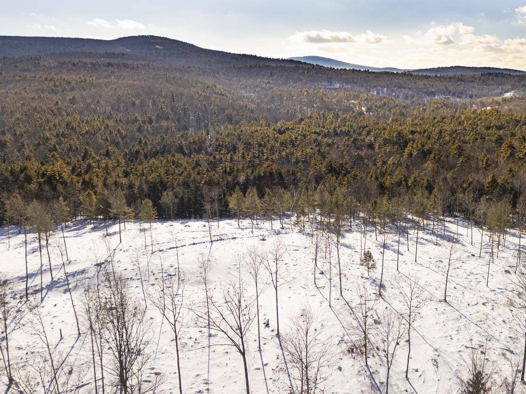 Francestown, NH 03043,Woodward Hill RD #LOT F