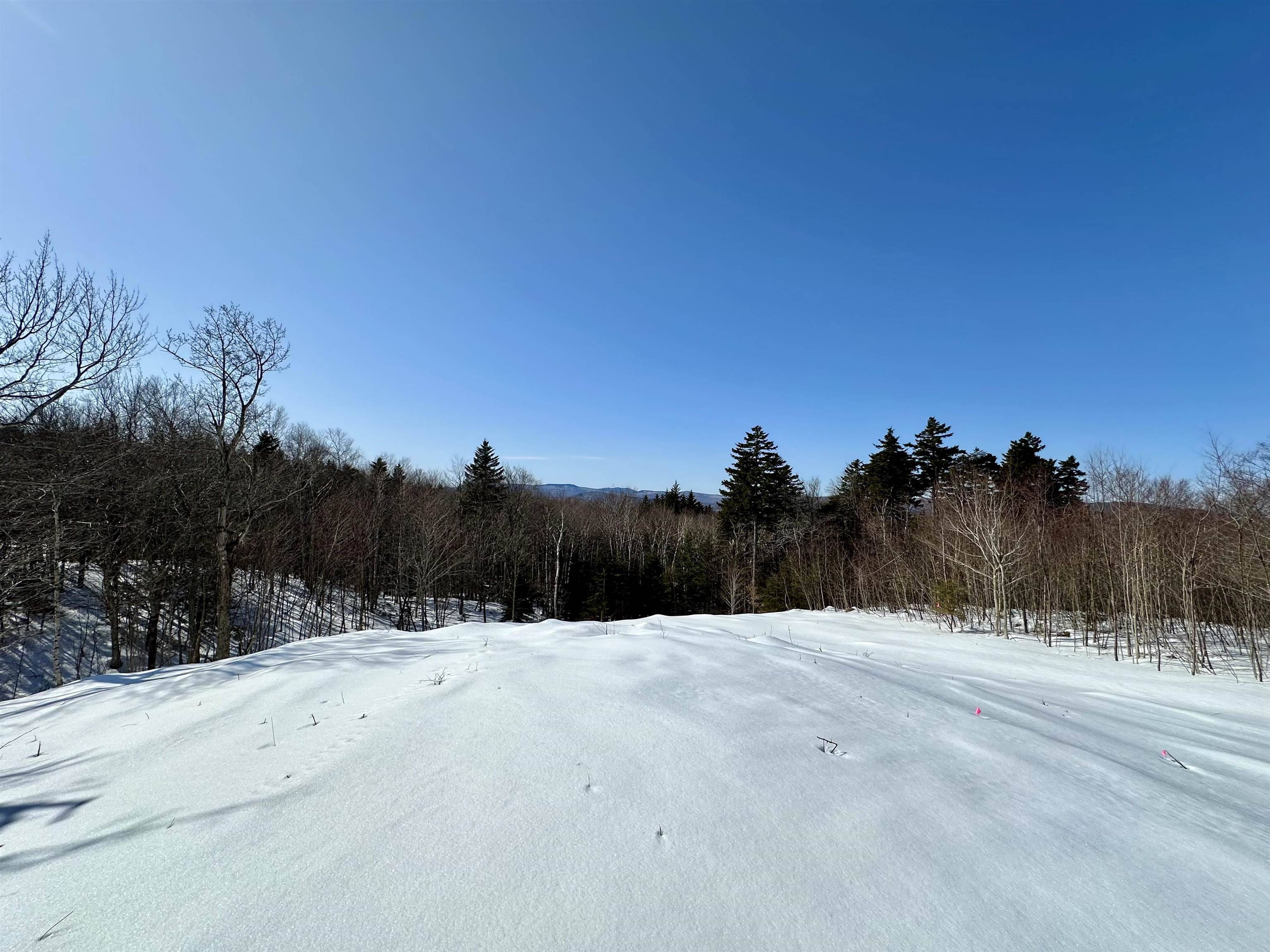 Andover, VT 05143,Lot 49 Andover Ridge RD #49