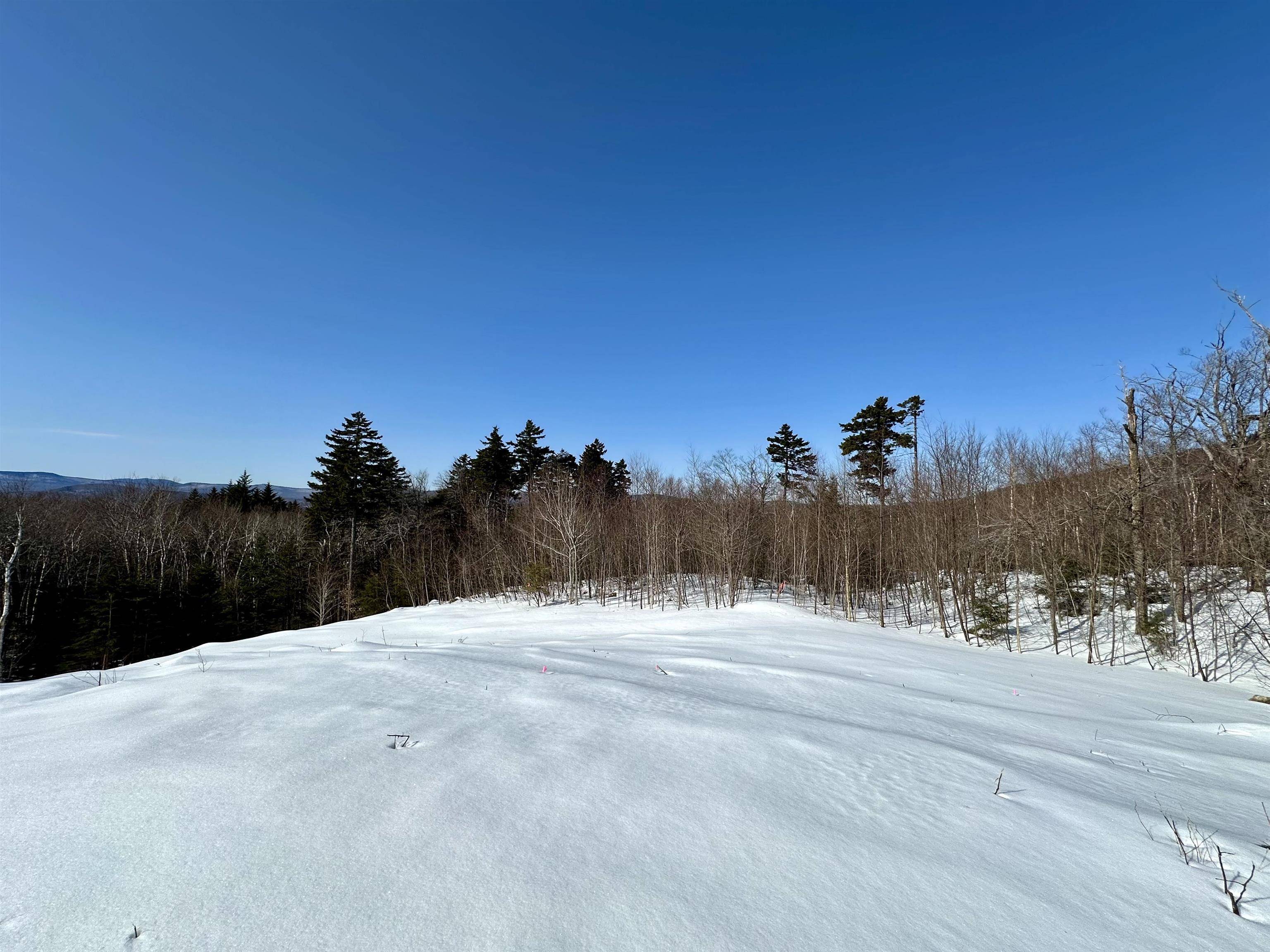 Andover, VT 05143,Lot 49 Andover Ridge RD #49