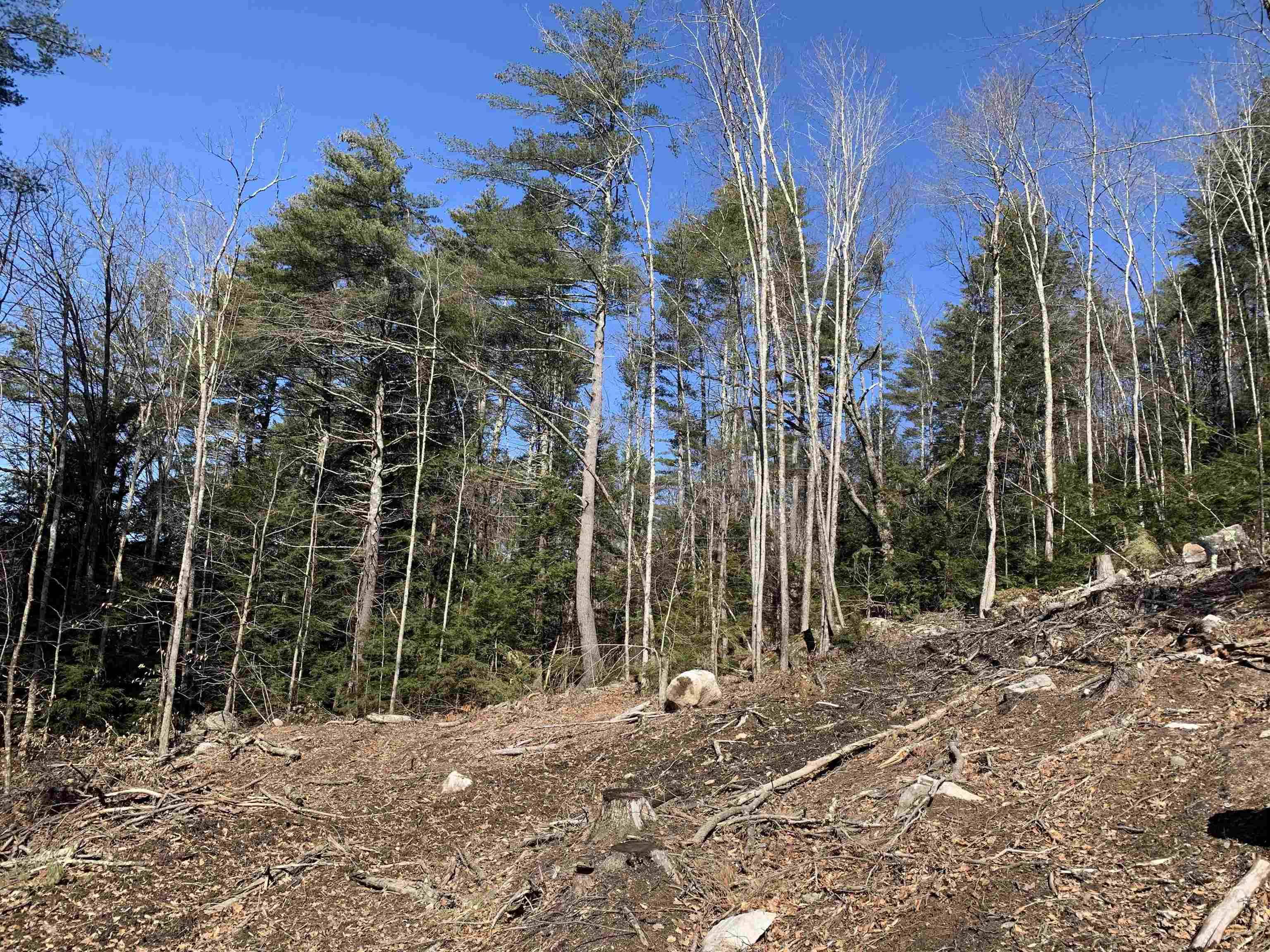 Winchester, NH 03470,Map3 Lot9 Scotland RD