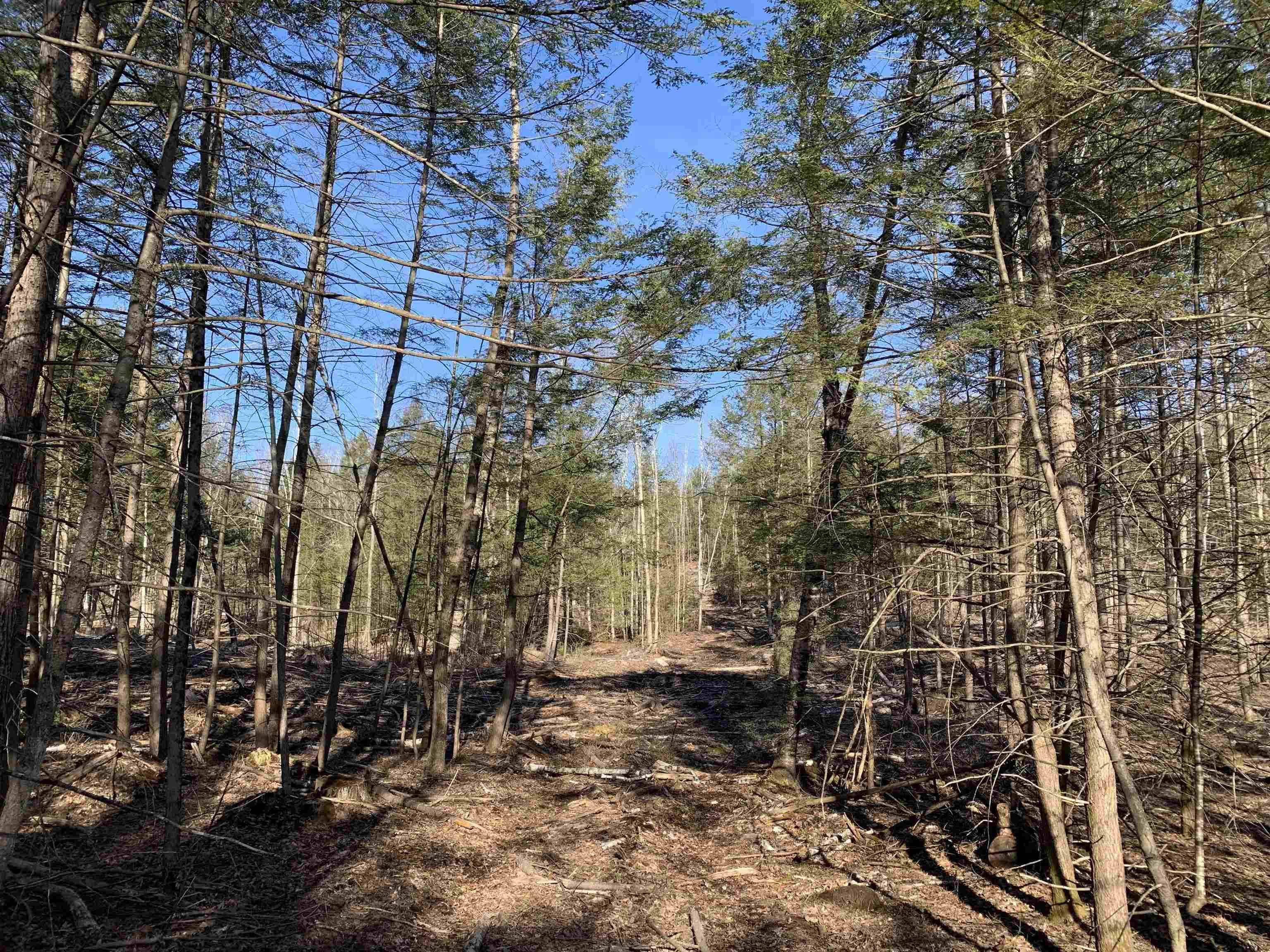 Map3 Lot9-3 Scotland RD Winchester, NH 03470