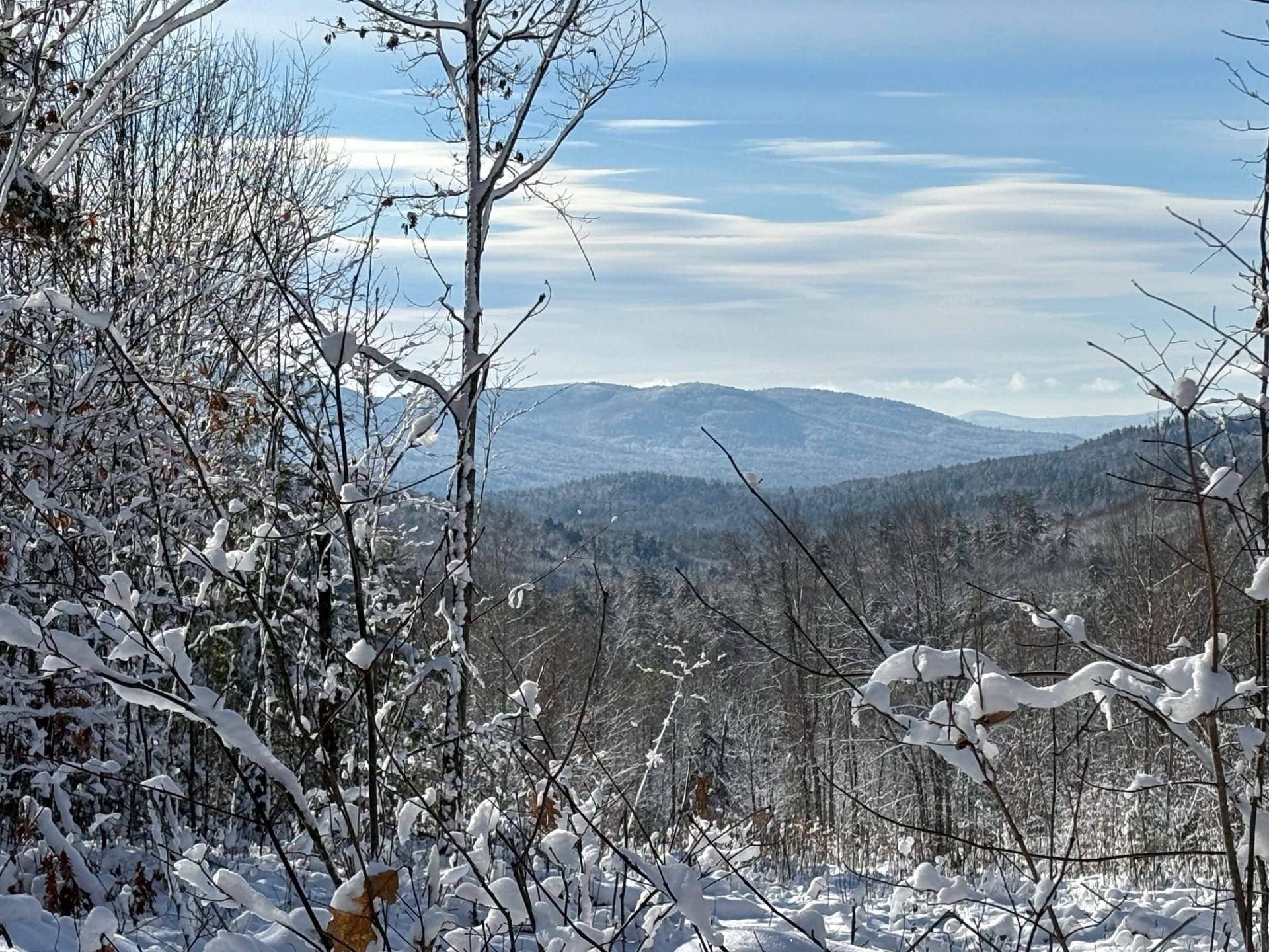 Freedom, NH 03836,00 Cold Brook RD