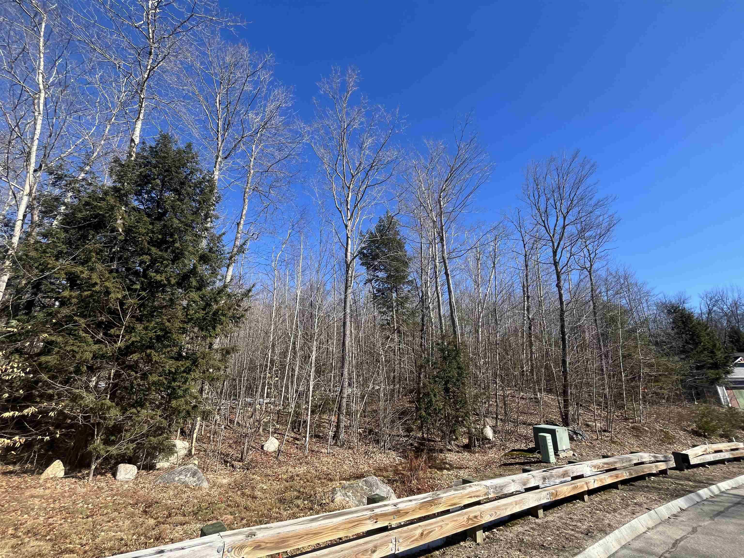 Conway, NH 03818,59 Grandview RD #59