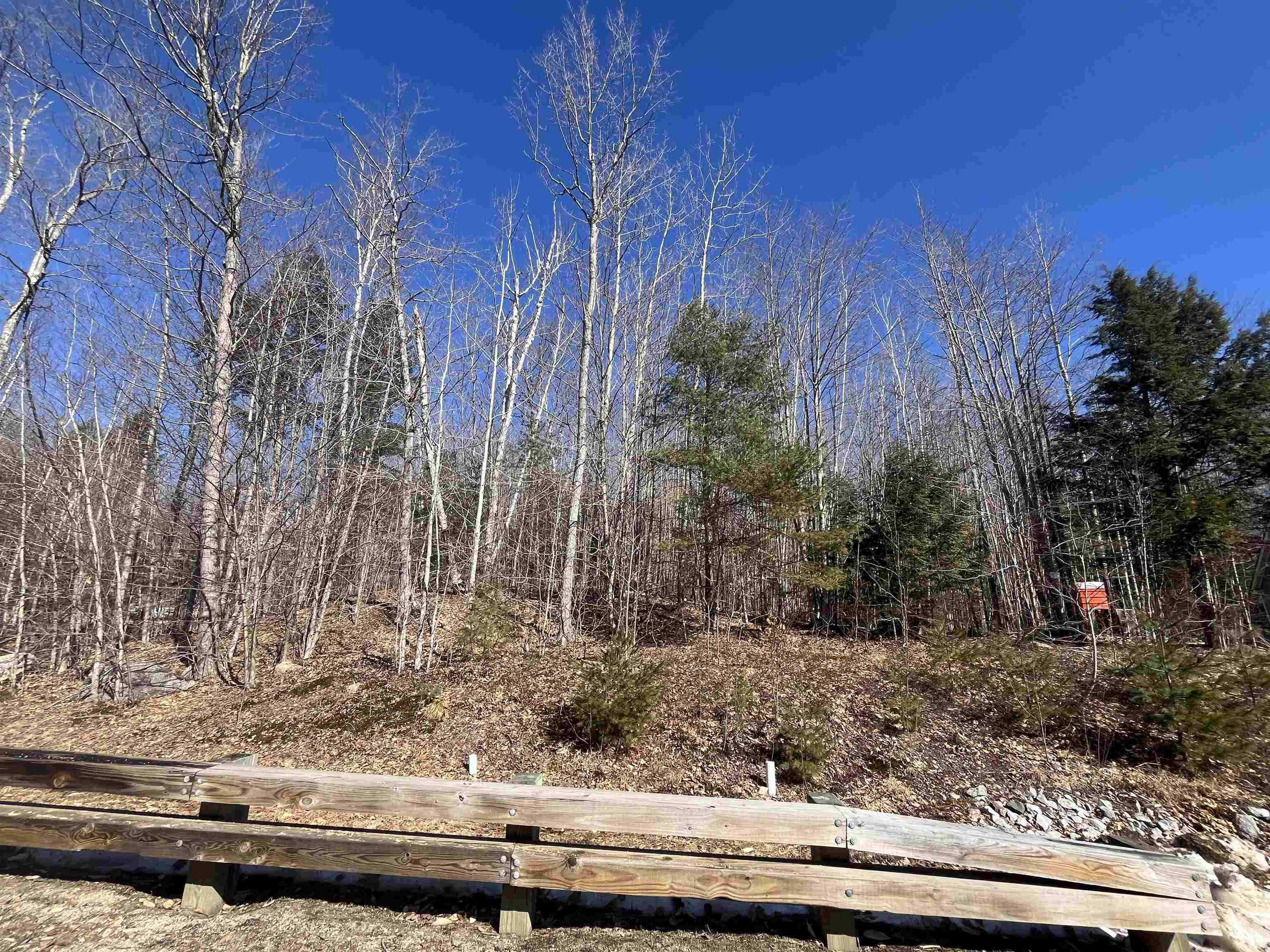 Conway, NH 03818,59 Grandview RD #59