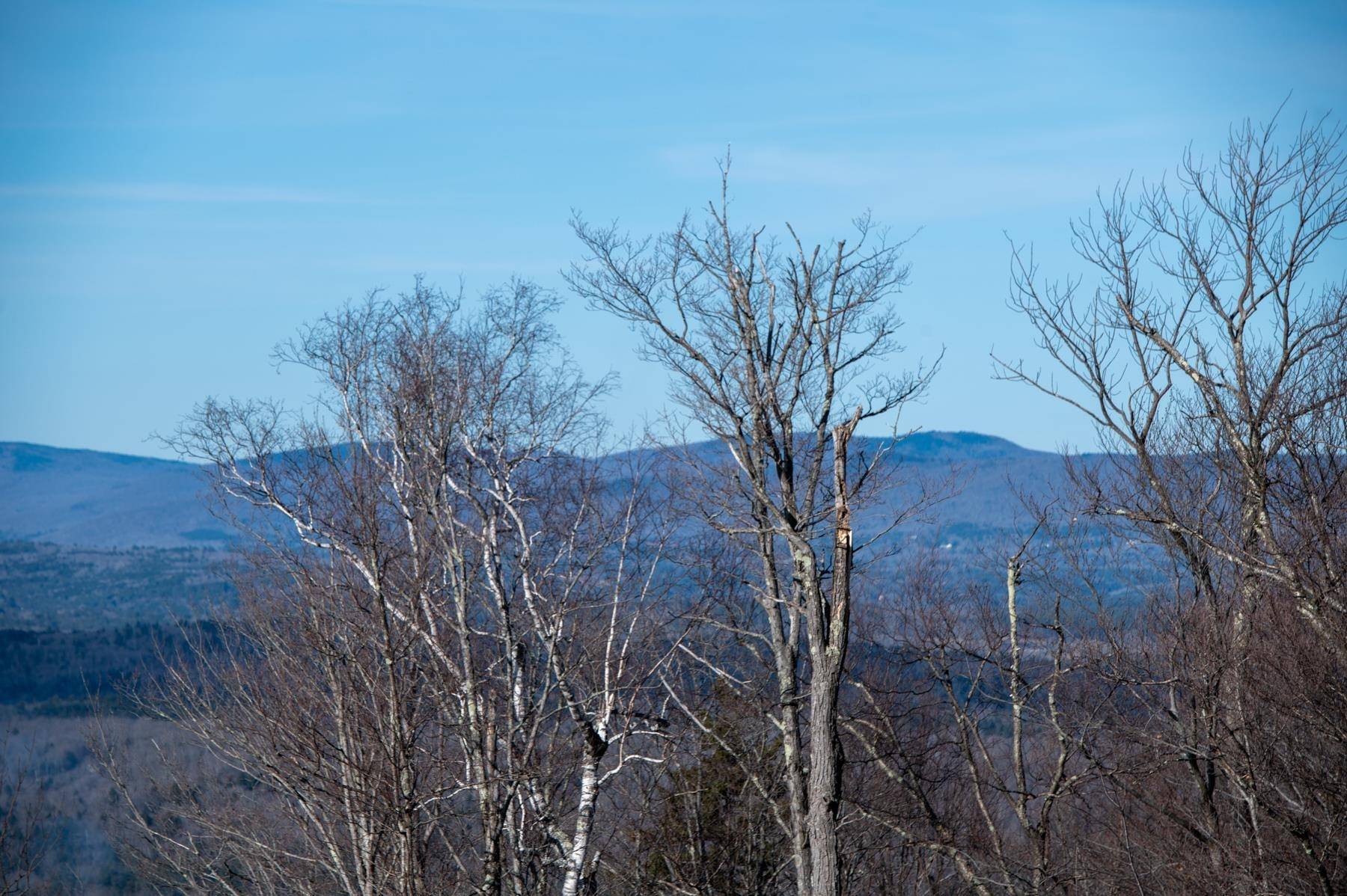Winhall, VT 05340,69 Benson Fuller RD #29
