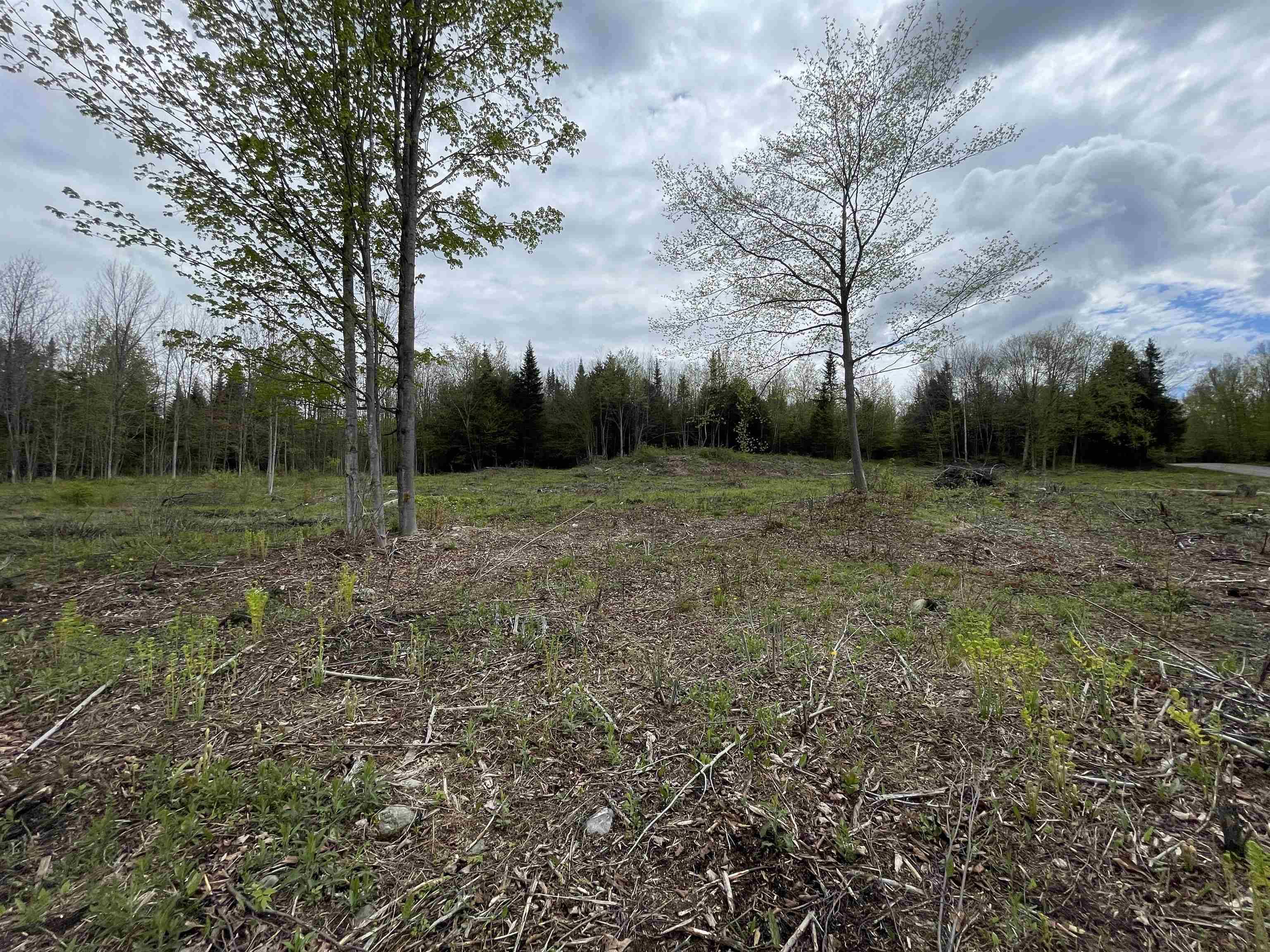 Hyde Park, VT 05655,0 Mountain Estates DR #Lot 19/20