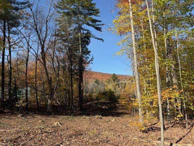 Ludlow, VT 05149,00 Okemo Acres